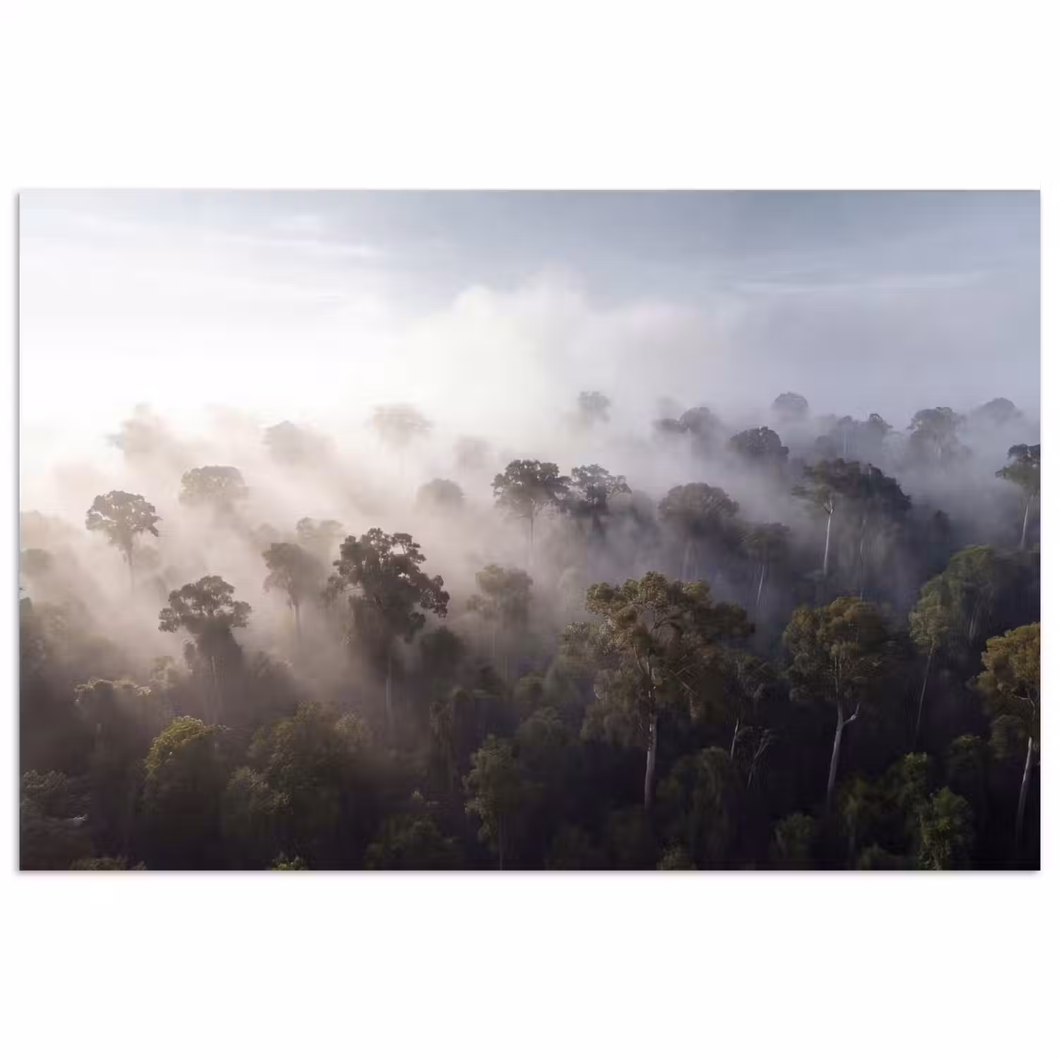Bos - Mist - Natuur - Groen poster papier klein -3d