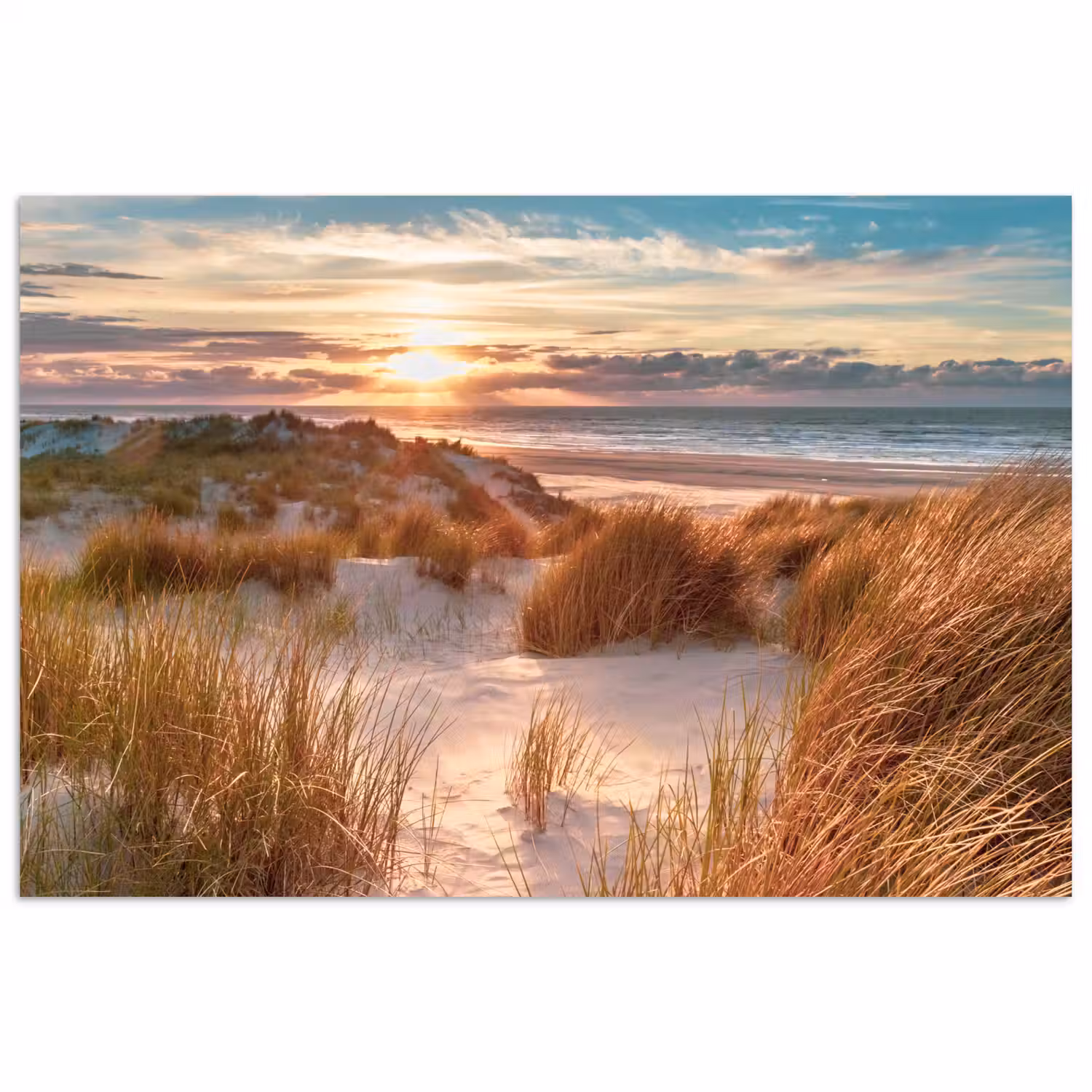 Duin - Planten - Zonsondergang - Strand - Zee poster papier klein -3d