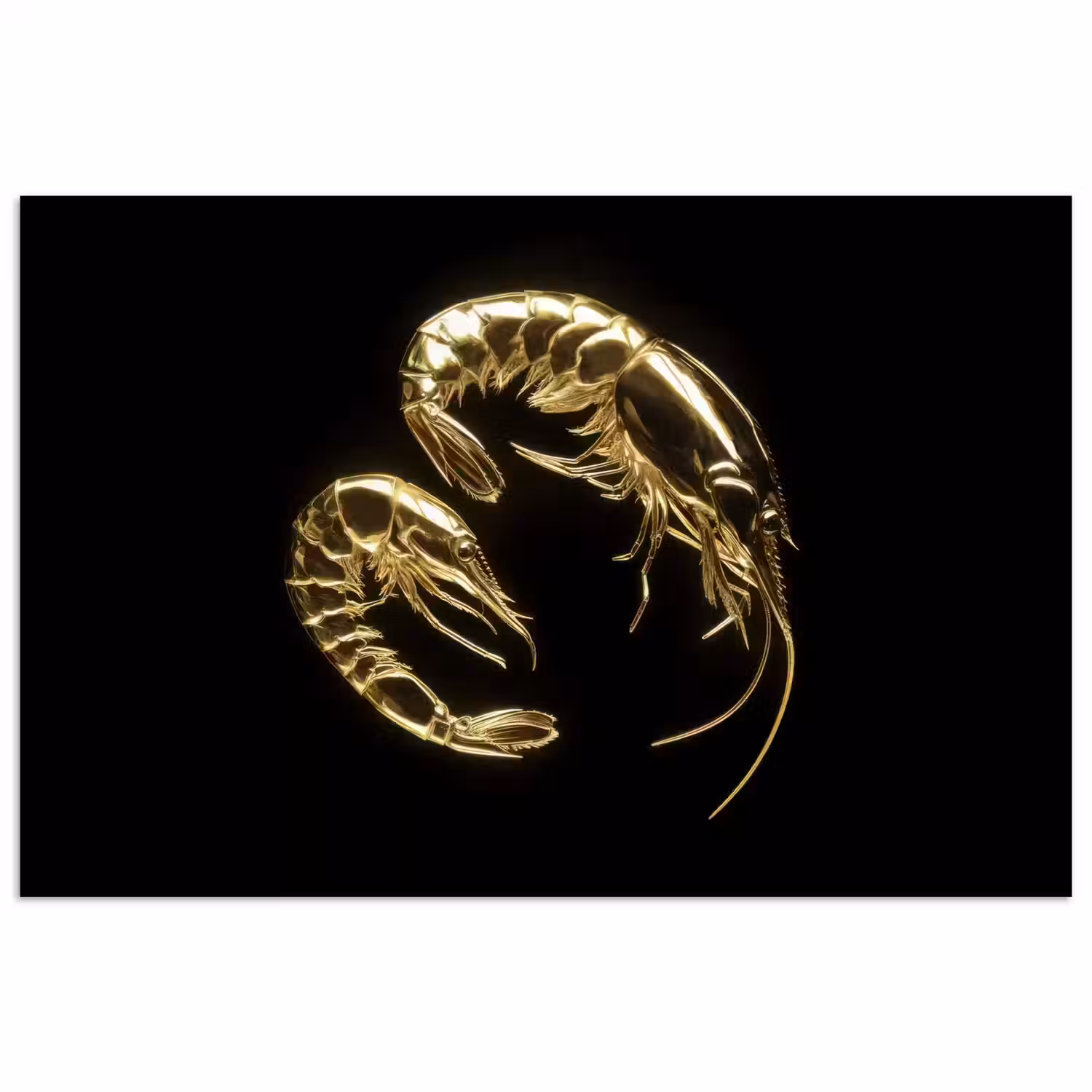 Garnalen - Zwart - Goud - Dieren poster papier klein -3d