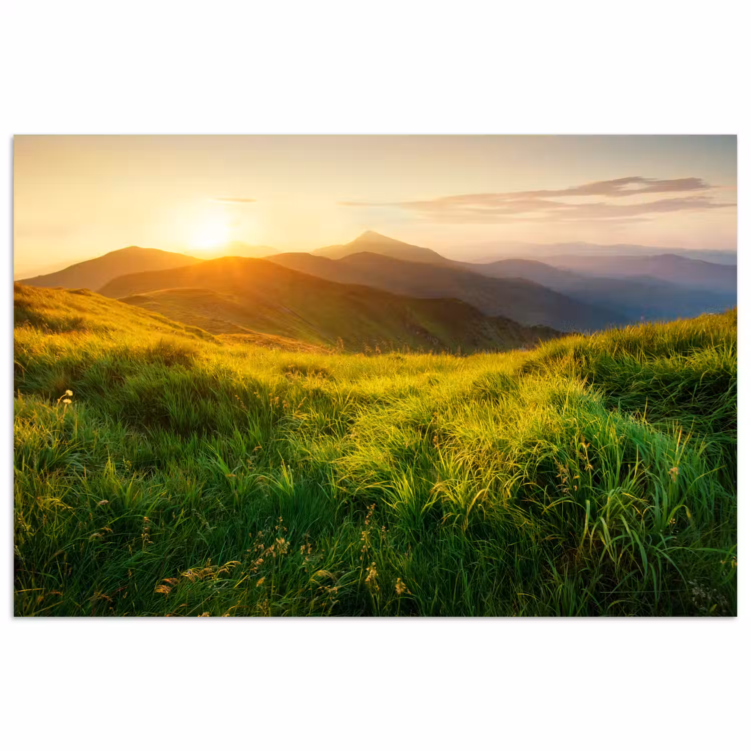 Gras - Heuvels - Zon - Natuur - Landschap poster papier klein -3d