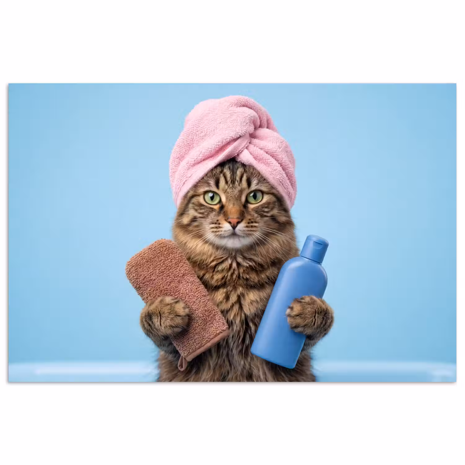 Kat - Handdoek - Washand - Zeep poster papier klein -3d