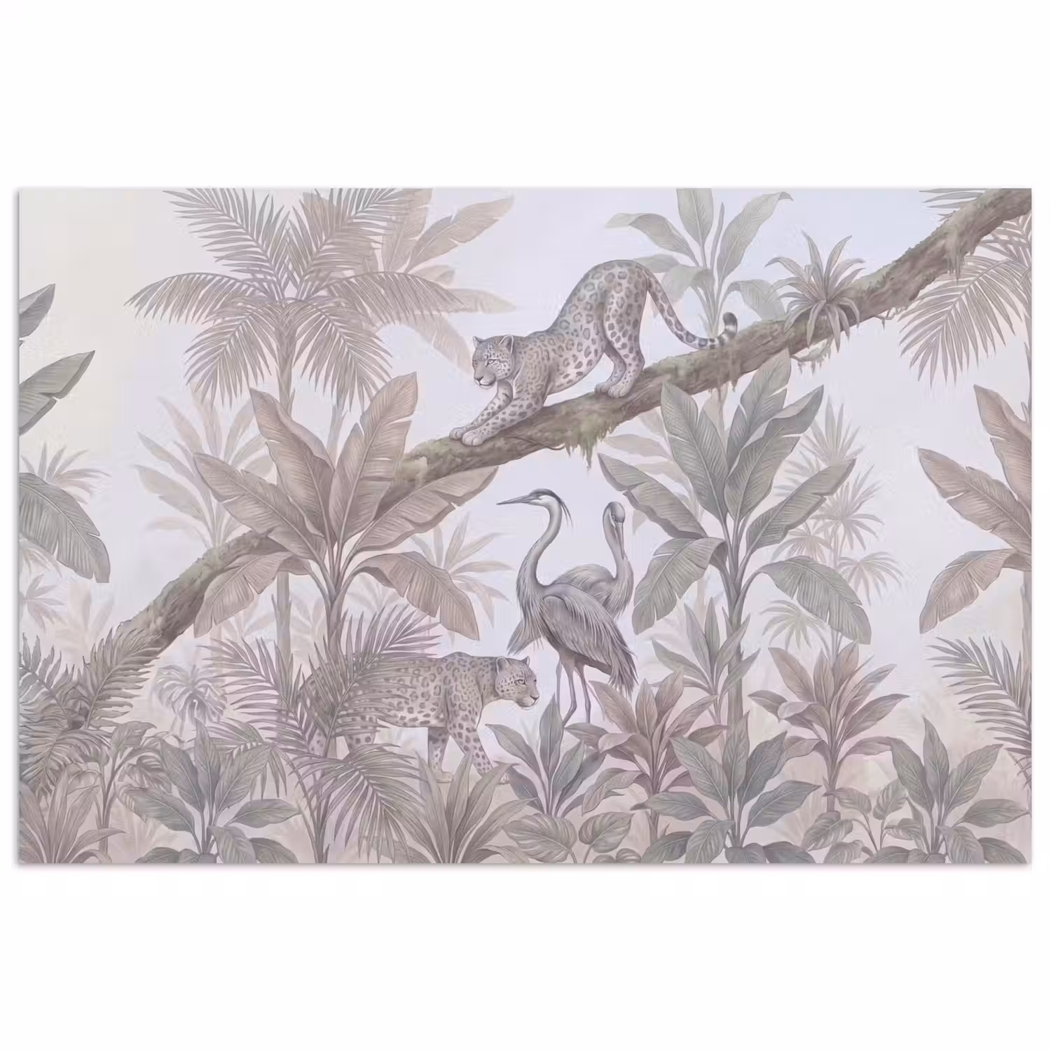 Kat - Vogel - Jungle - Illustratie - Dieren poster papier klein -3d