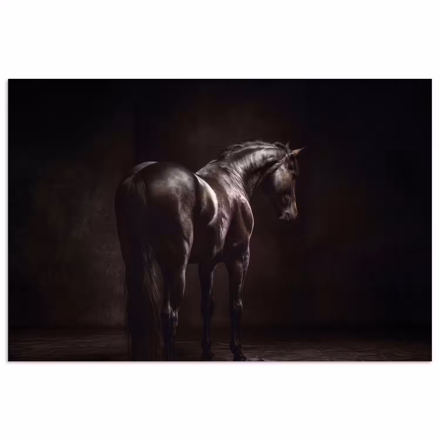 Krachtig - Paard - Donker poster papier klein -3d