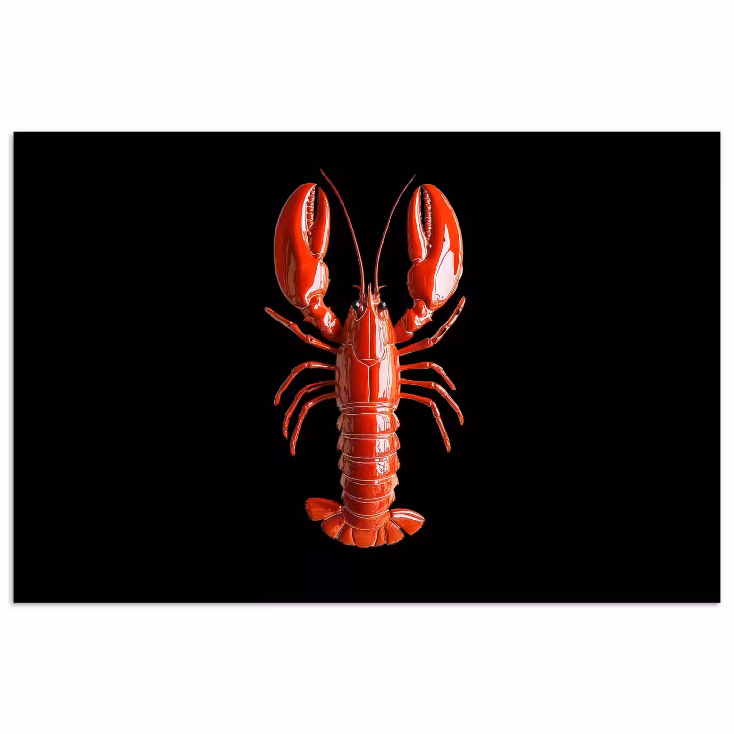 Kreeft - Glossier Rood - Zwart poster papier klein -3d
