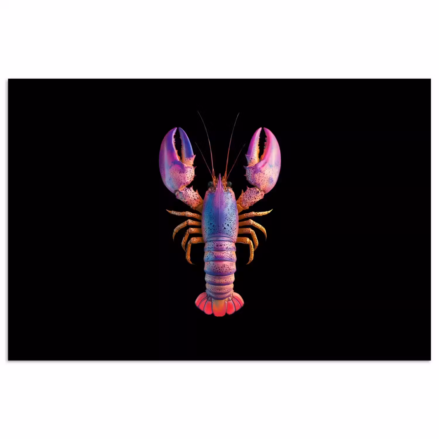 Kreeft - Paars - Roze - Zwart - Stippen - Lila poster papier klein -3d