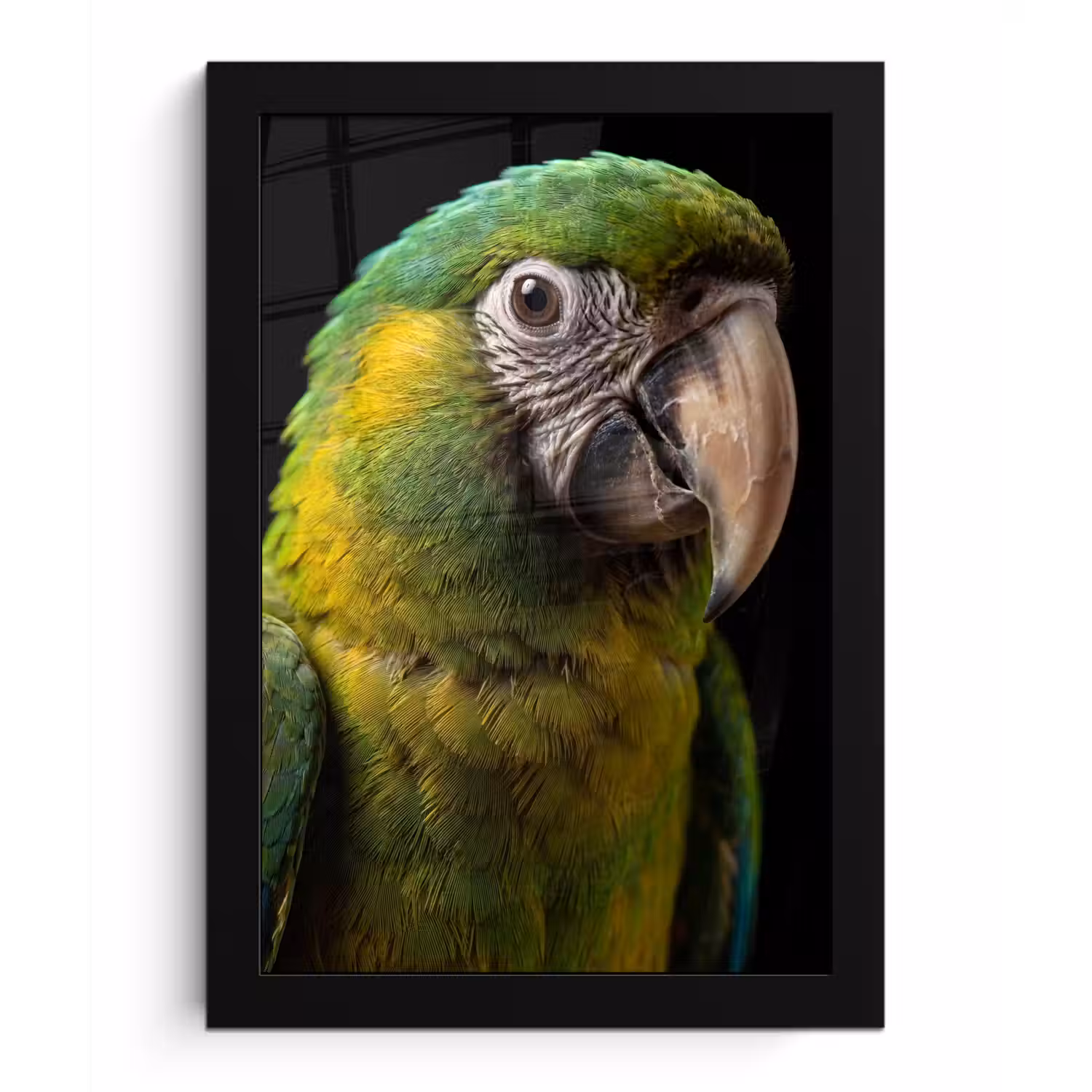 Ara - Portret - Groen fotolijst zwart zonder passe partout klein -3d