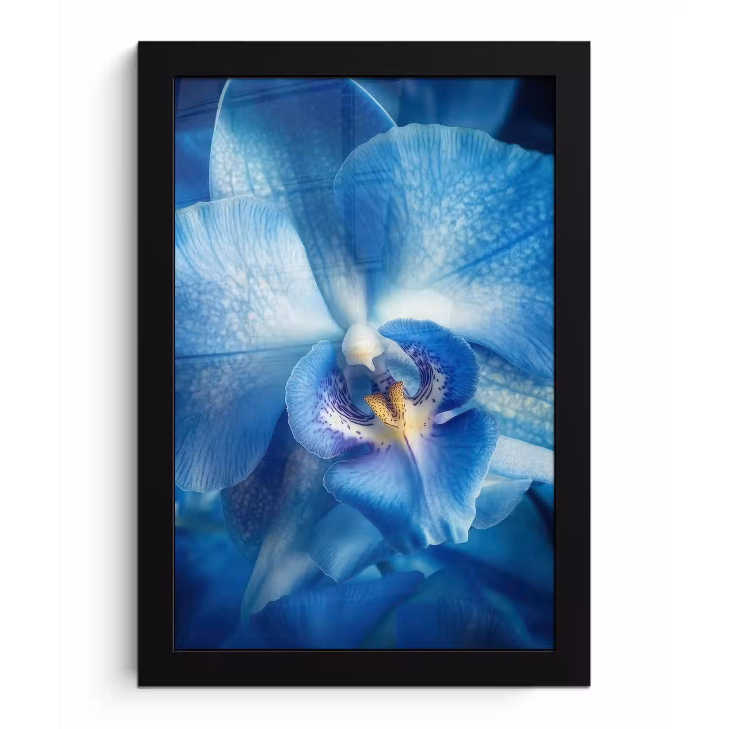 Blauw - Orchidee - Elegeant fotolijst zwart zonder passe partout klein -3d