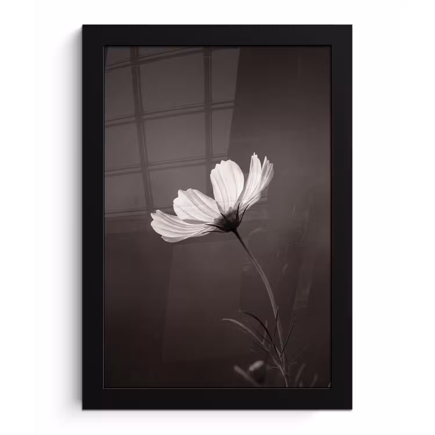 Bloem - Minimalistisch - Zwart - Wit fotolijst zwart zonder passe partout klein -3d