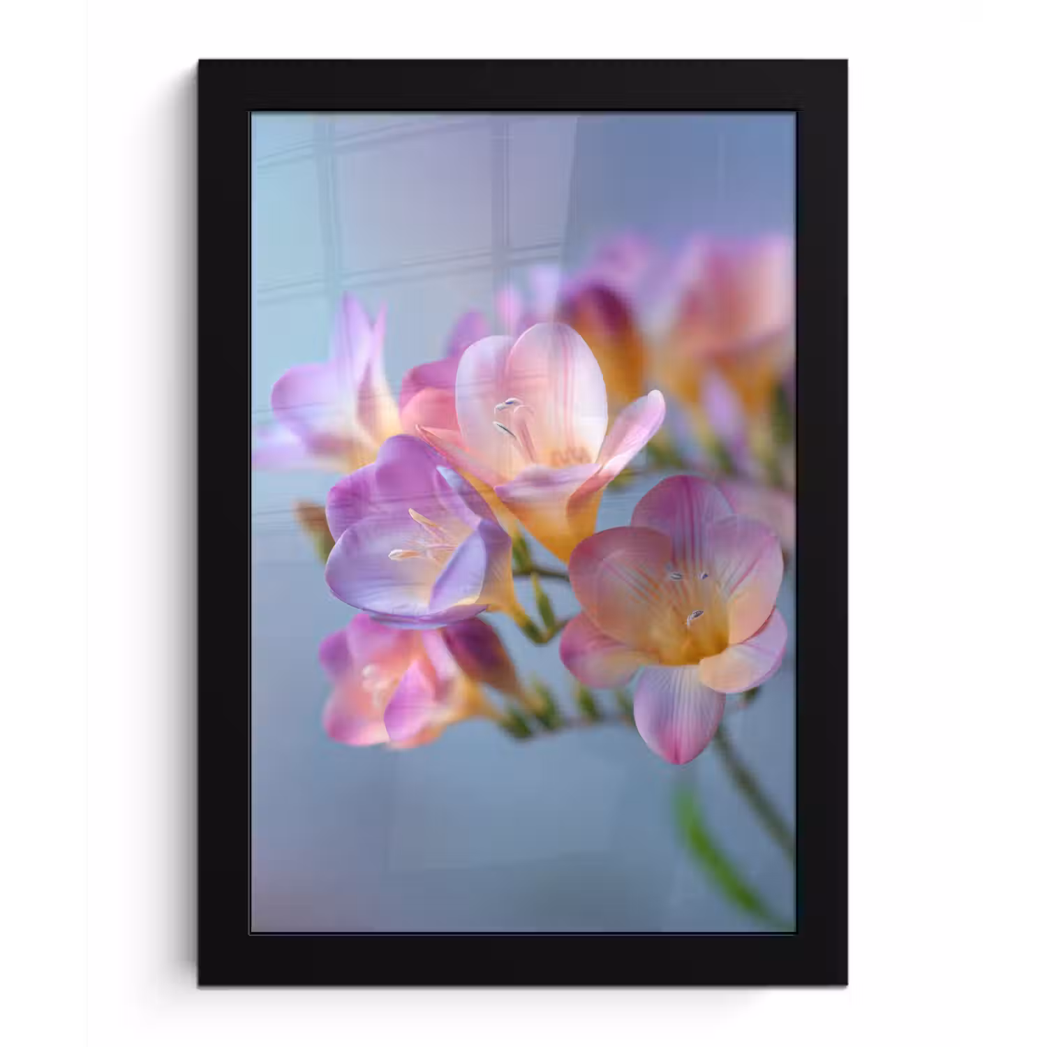 Bloemen - Paars - Overloop - Meeldraden fotolijst zwart zonder passe partout klein -3d