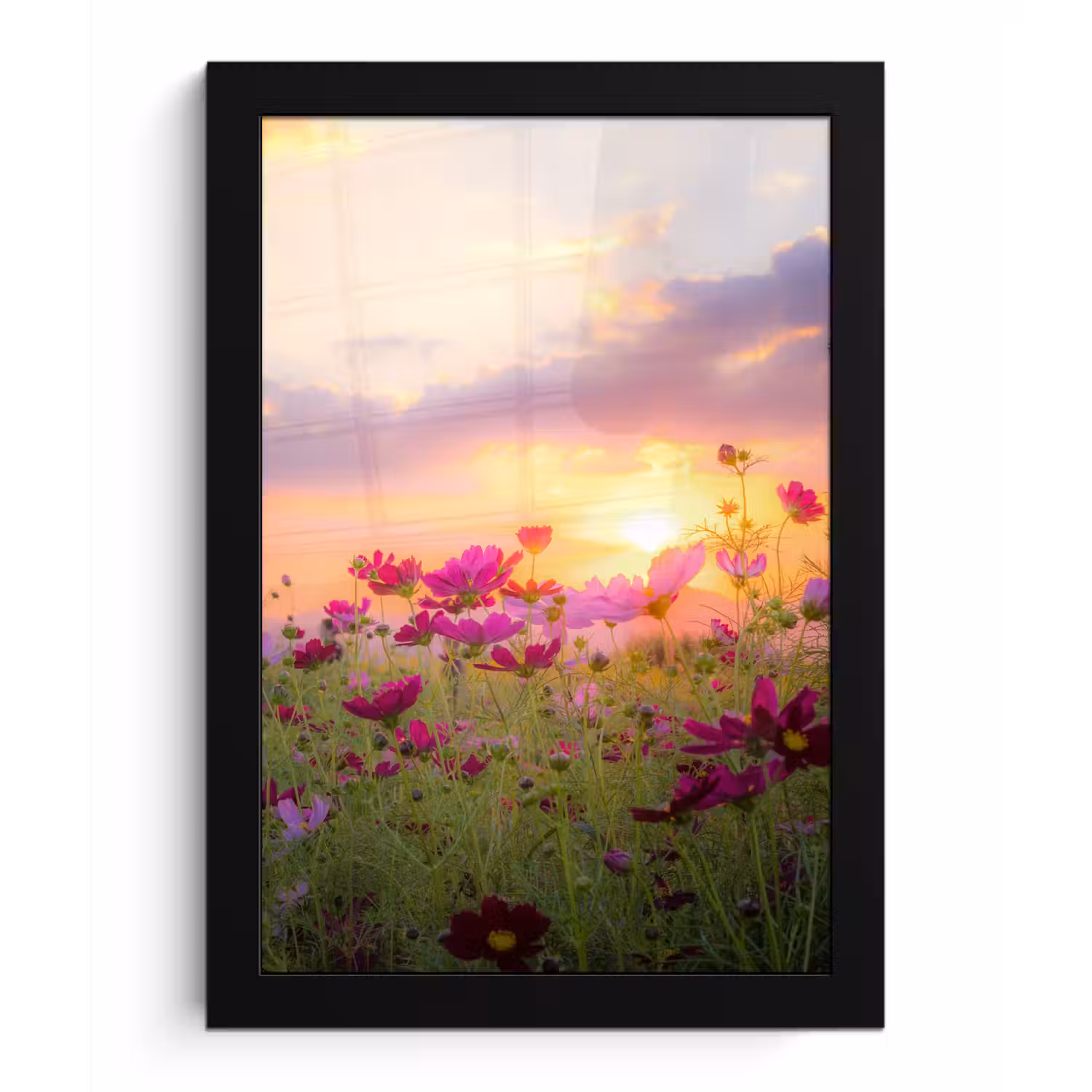 Bloemen - Roze - Zonsondergang - Natuur - Weide - Horizon fotolijst zwart zonder passe partout klein -3d