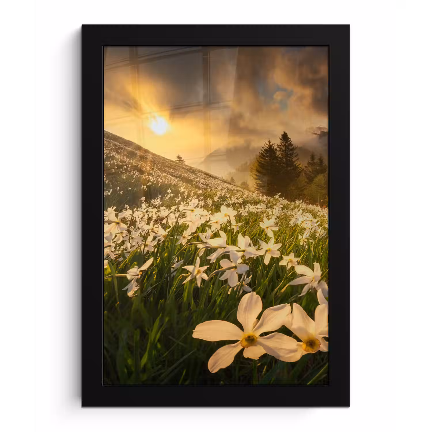 Bloemenveld - Heuvels - Zonsondergang - Berg - Natuur - Wit - Heuvels fotolijst zwart zonder passe partout klein -3d