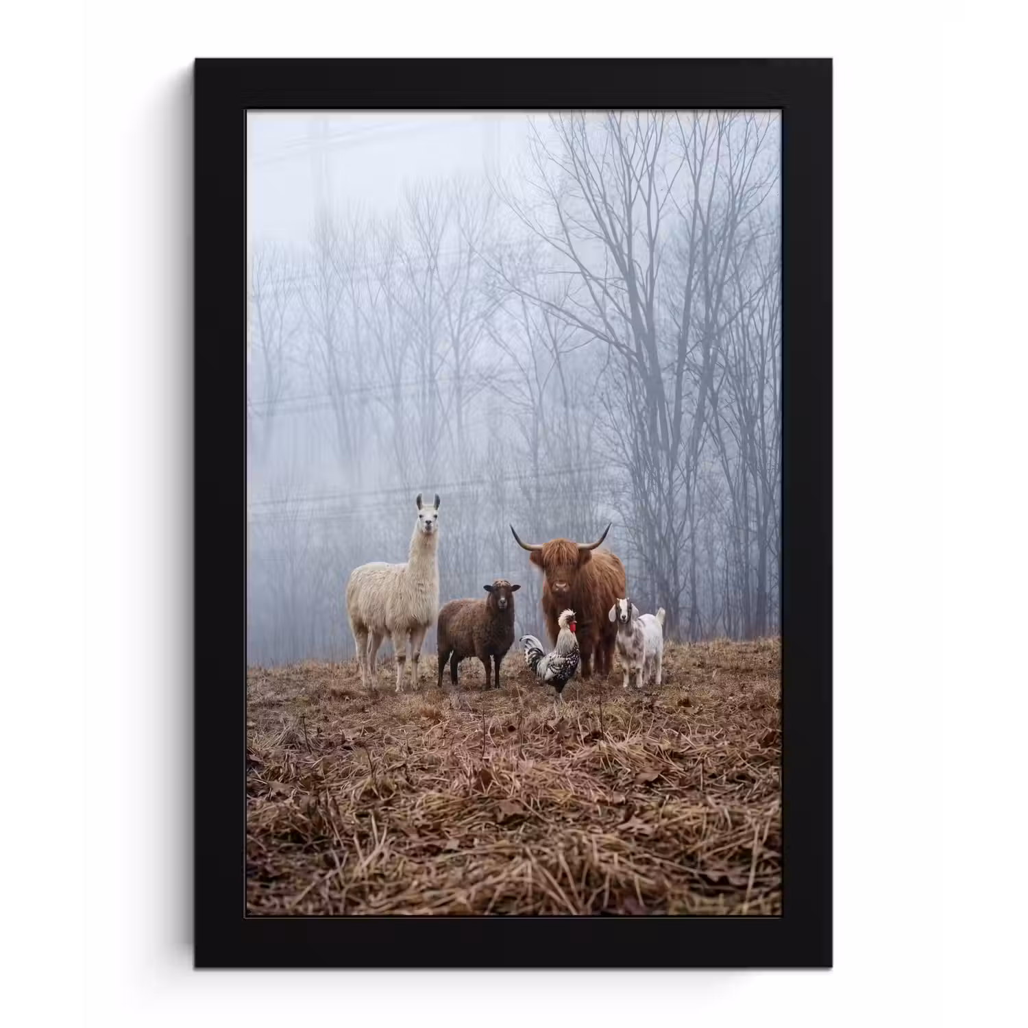 Boerderijdieren - Groep - Mist - Natuur - Rustiek fotolijst zwart zonder passe partout klein -3d