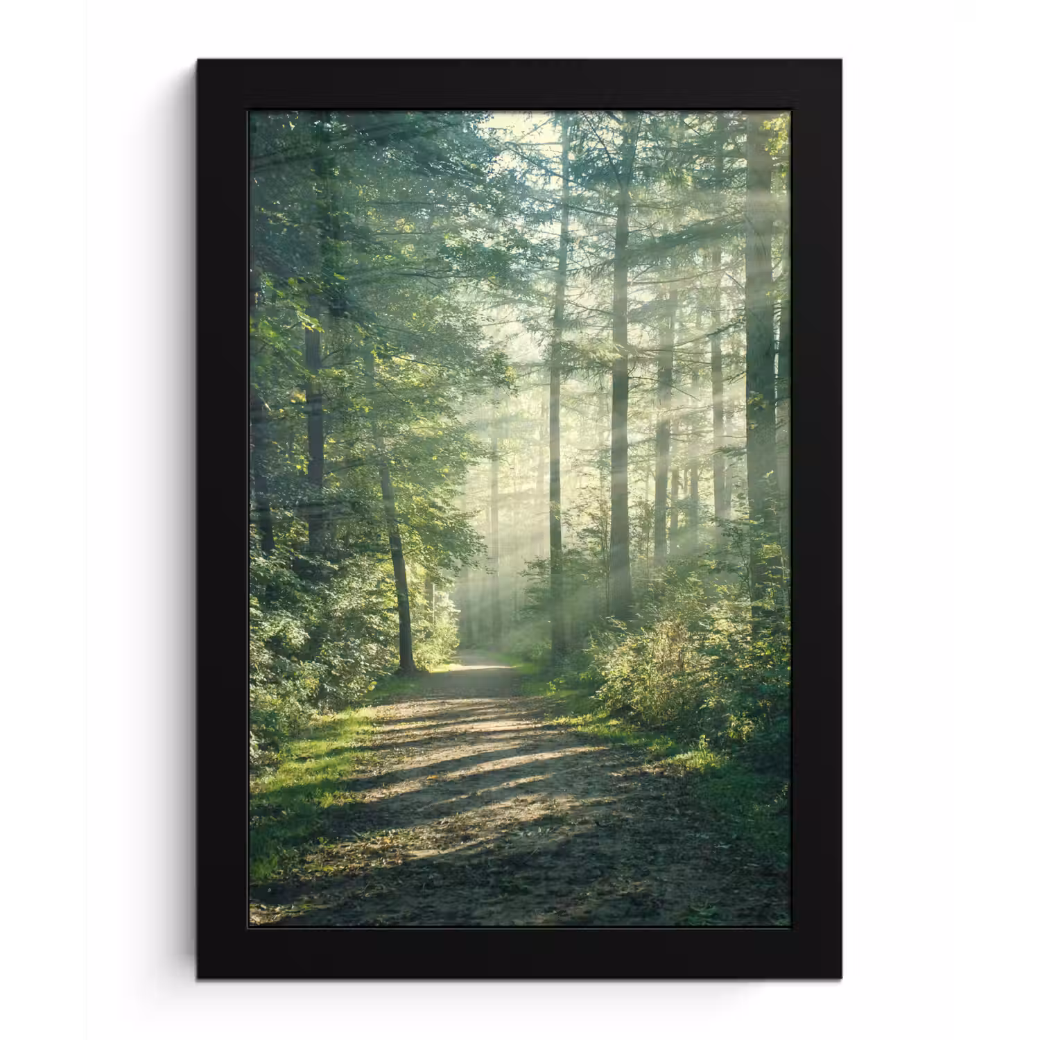 Bos - Pad - Zon - Bomen - Groen - Natuur fotolijst zwart zonder passe partout klein -3d