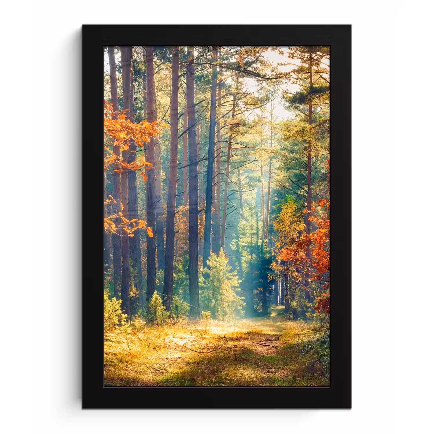 Bos - Zon - Natuur - Herfst fotolijst zwart zonder passe partout klein -3d