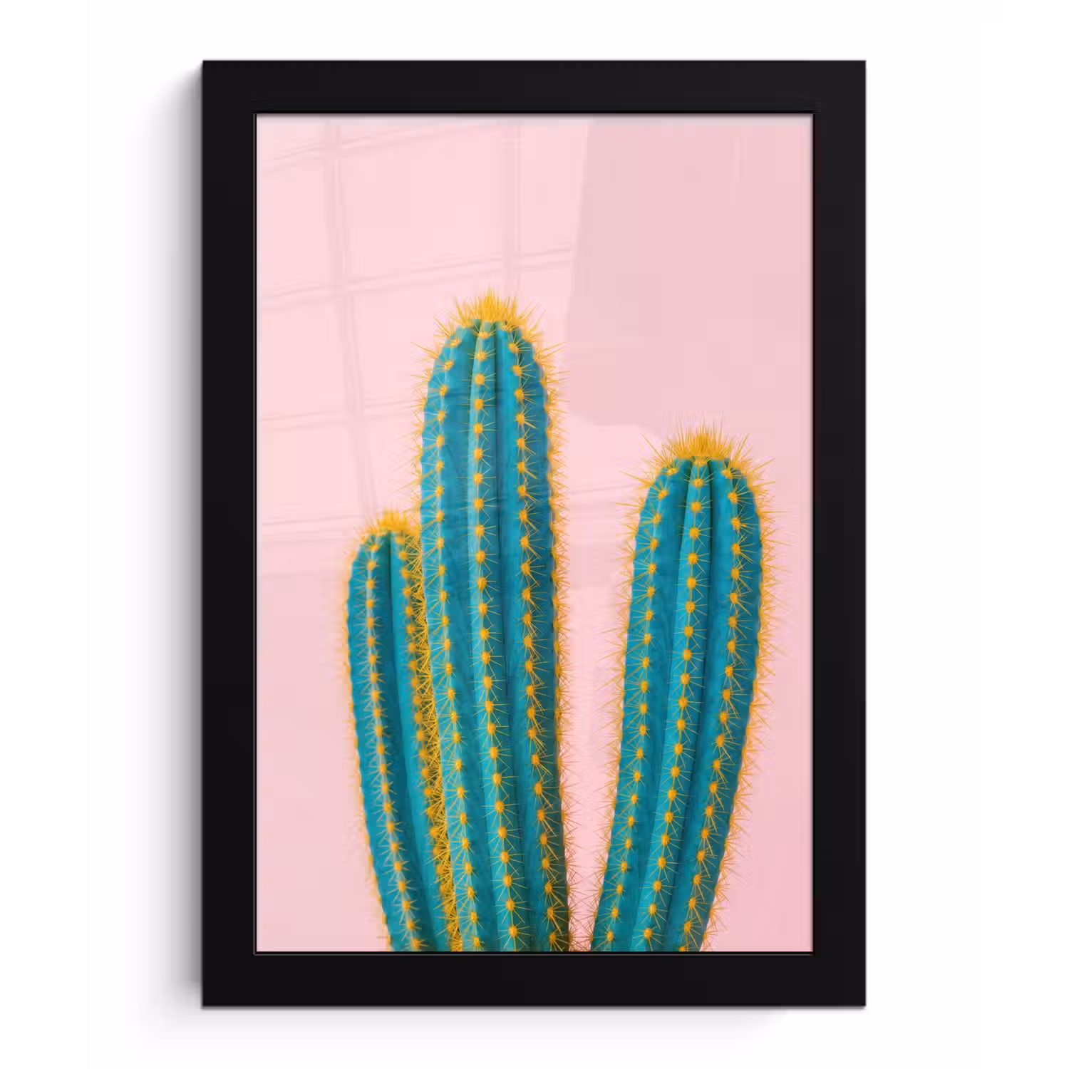 Cactussen - Modern - Pastel fotolijst zwart zonder passe partout klein -3d