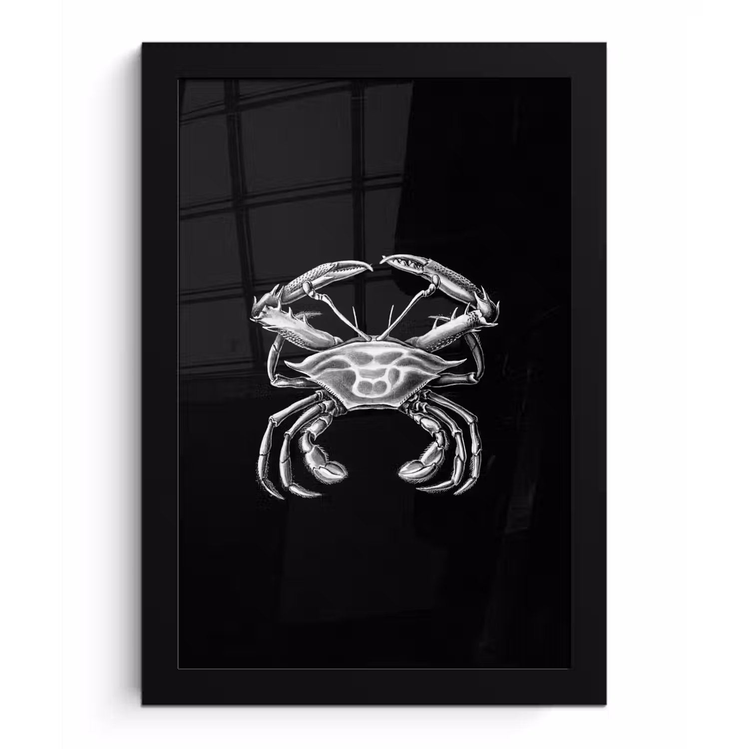 Ernst Haeckel - Krab - Oude meesters - Vintage - Dieren - Kunst fotolijst zwart zonder passe partout klein -3d