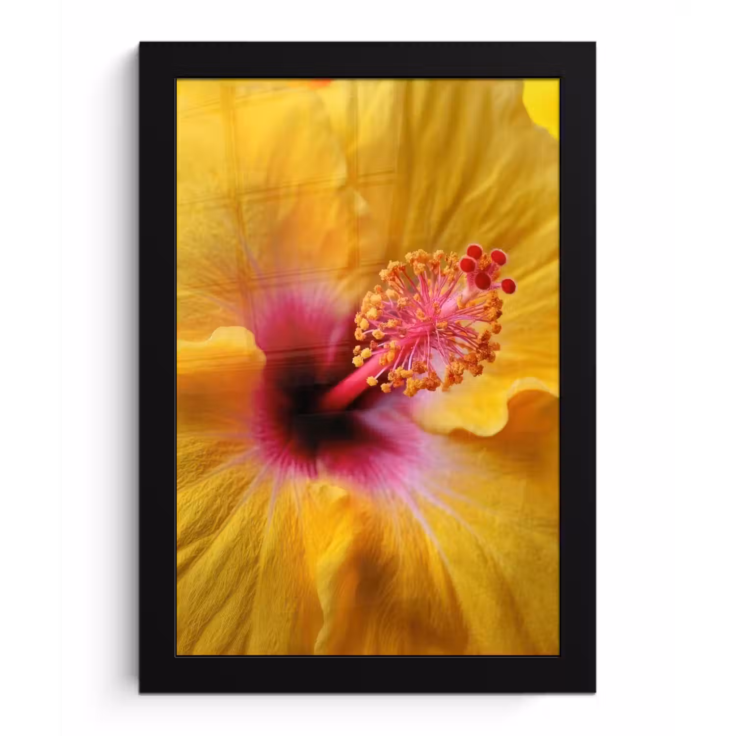 Geel - Hibiscus - Tropisch fotolijst zwart zonder passe partout klein -3d