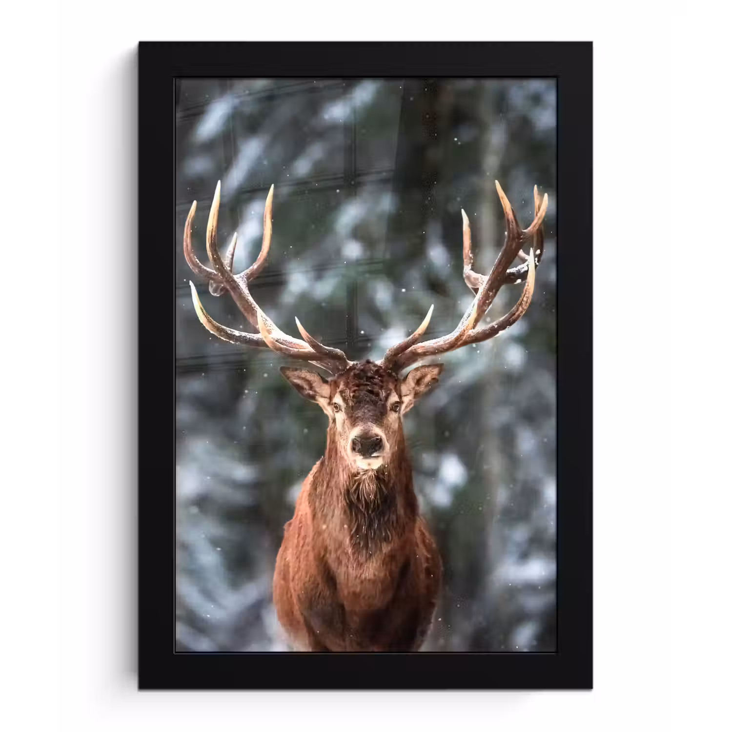 Hert - Winter - Sneeuw - Bos - Natuur - Dier fotolijst zwart zonder passe partout klein -3d