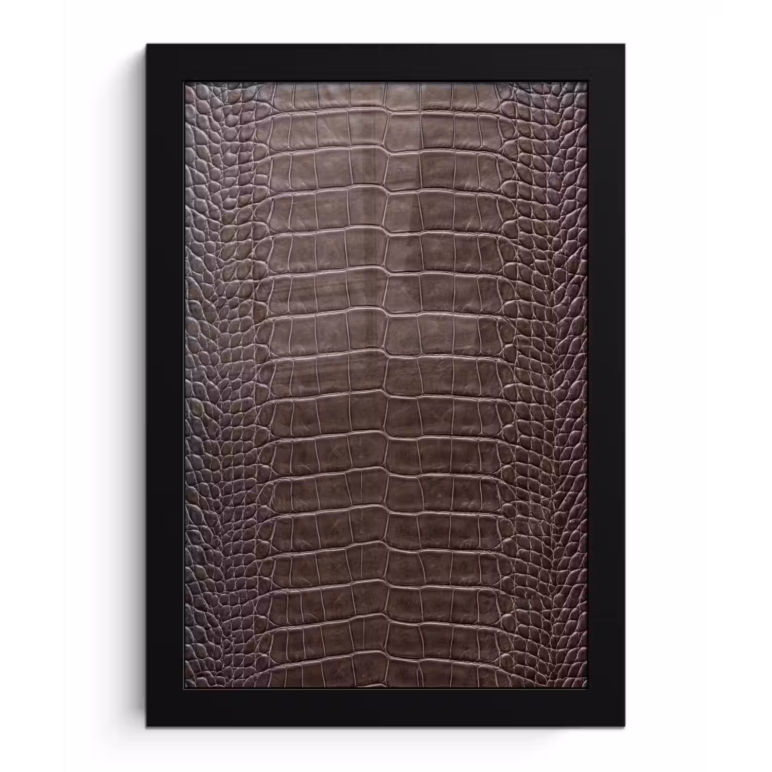 Leer - Krokodil - Mat fotolijst zwart zonder passe partout klein -3d