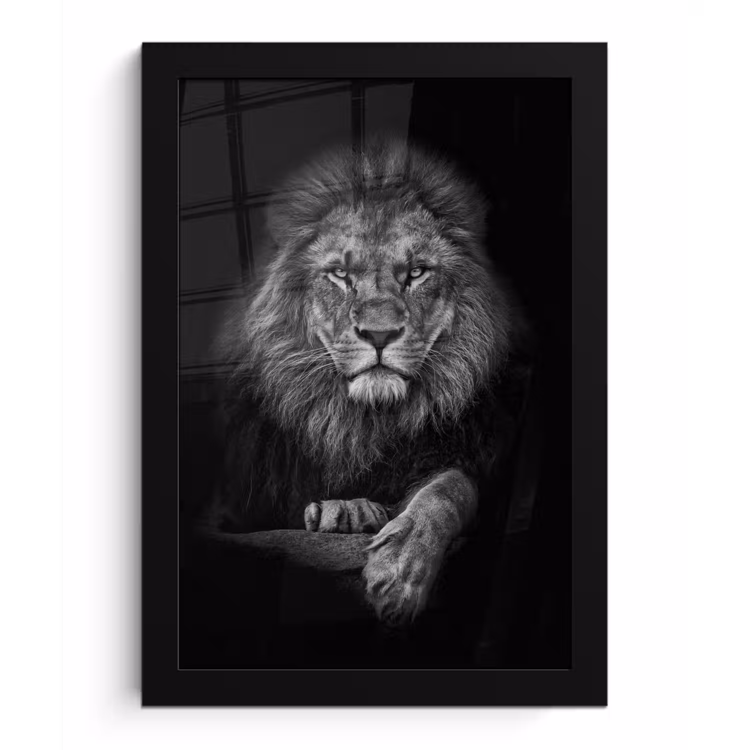 Leeuw - Dieren - Zwart - Wit fotolijst zwart zonder passe partout klein -3d