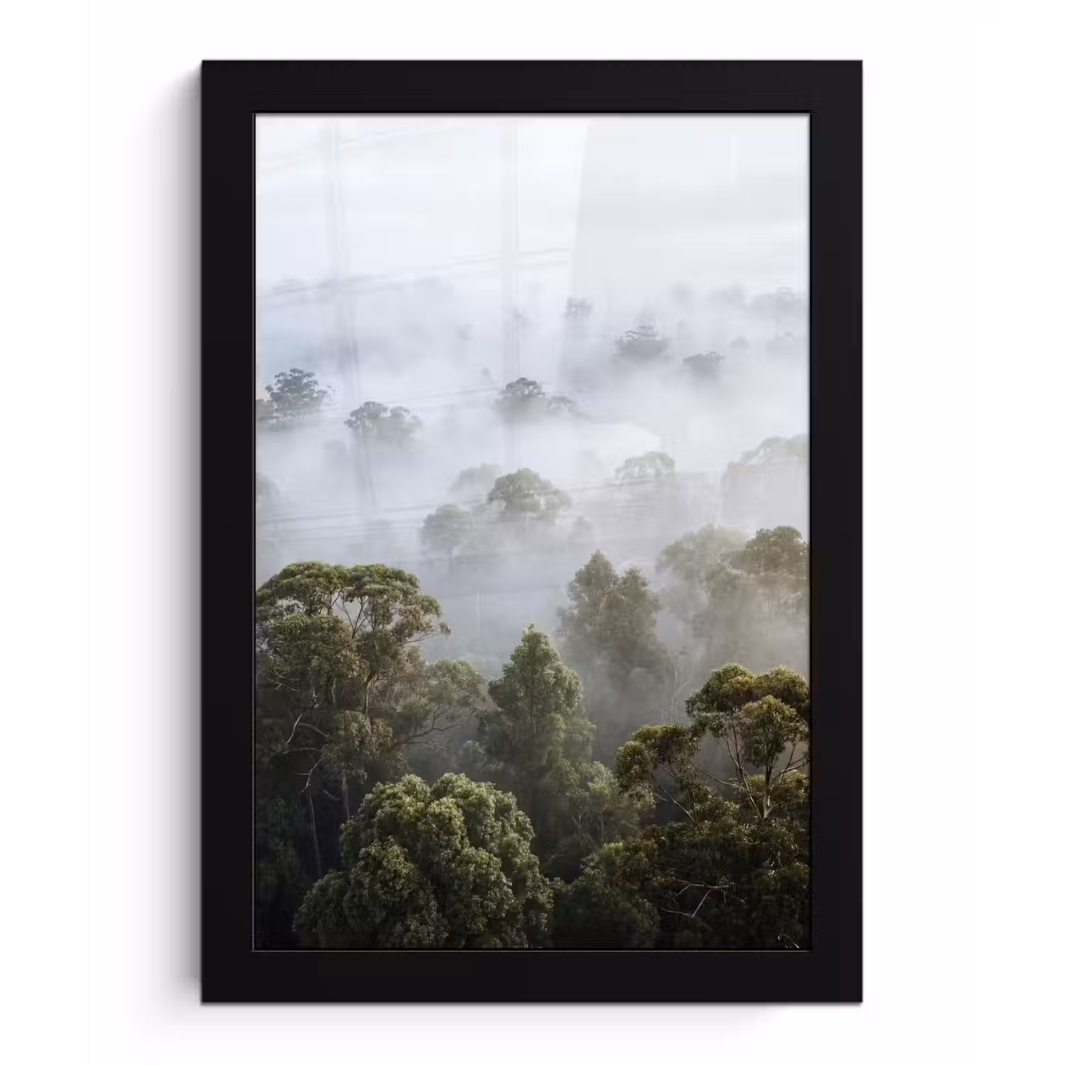 Natuur - Mist - Bos - Ochtend - Goud fotolijst zwart zonder passe partout klein -3d