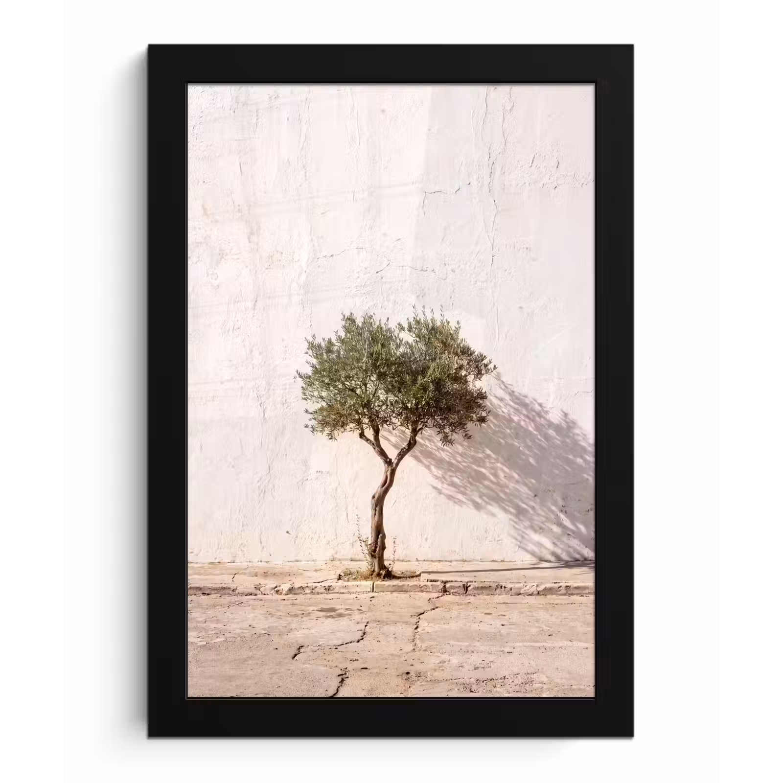 Poster met lijst - Olijfboom - muur - wit - Olijfboom - muur - wit fotolijst zwart zonder passe partout klein
