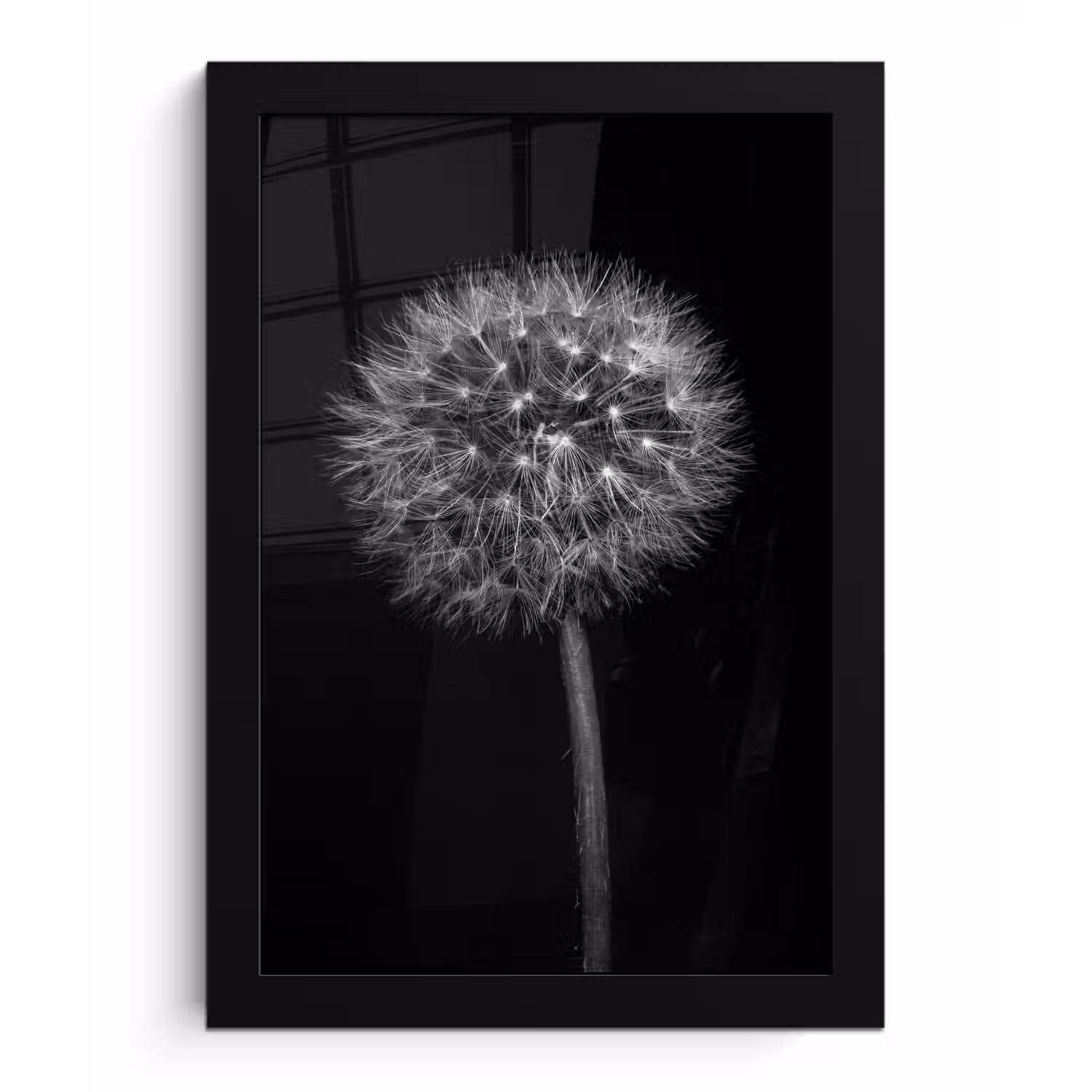 Paardenbloem - Zwart - Bloemen - Botanisch fotolijst zwart zonder passe partout klein -3d