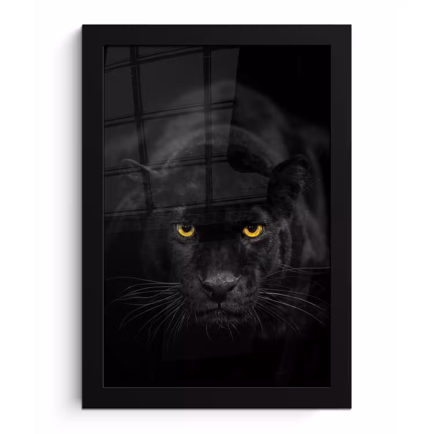 Panter - Dieren - Zwart - Ogen fotolijst zwart zonder passe partout klein -3d
