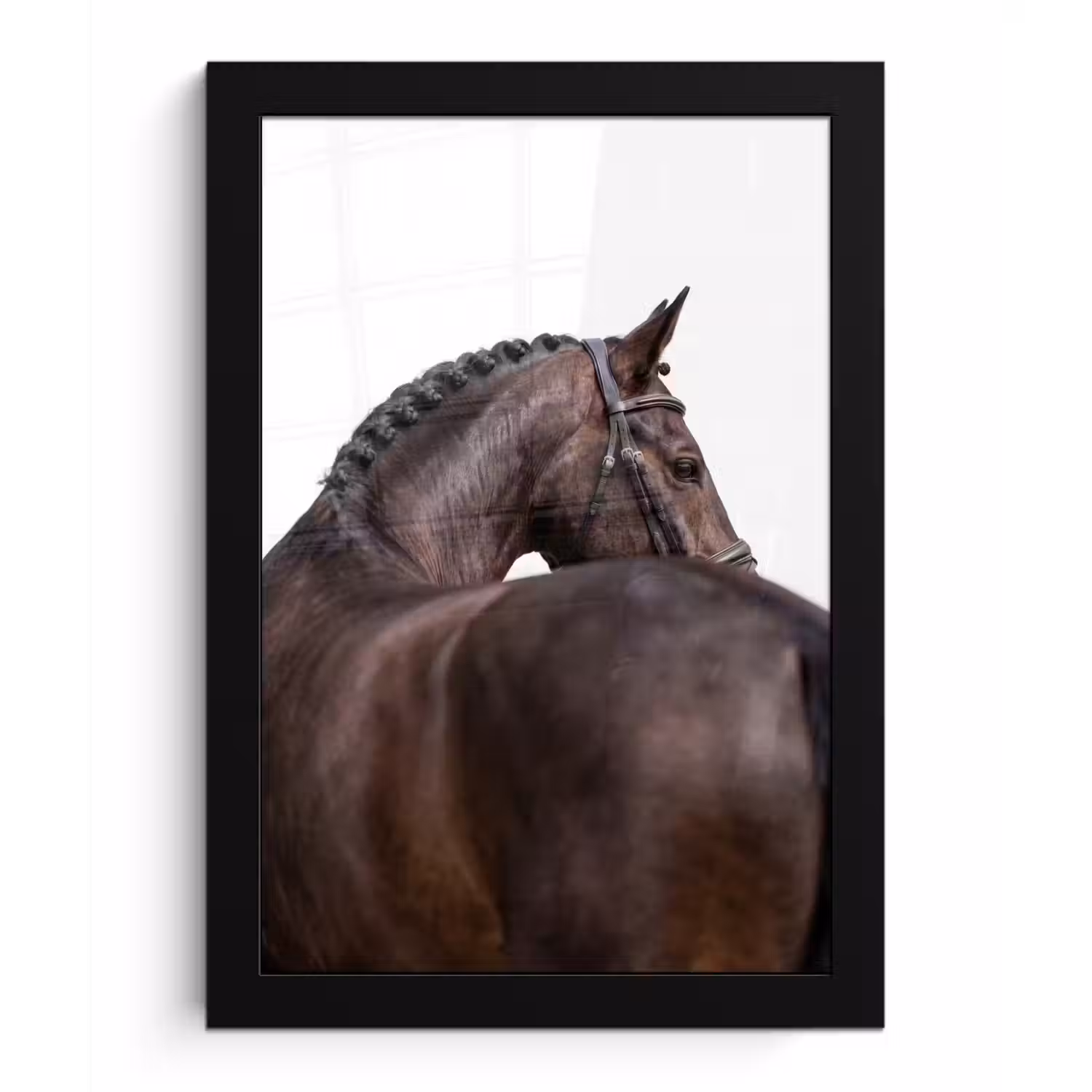 Portret - Paard - Elegant fotolijst zwart zonder passe partout klein -3d