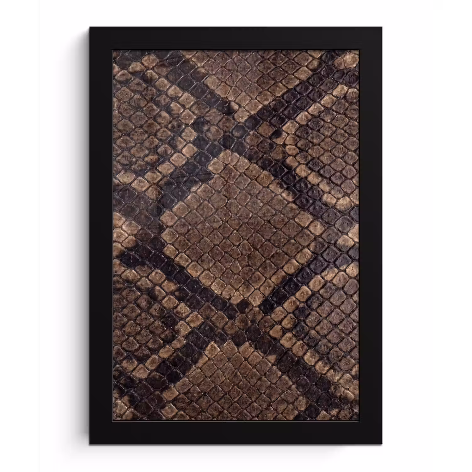 Python - Schubben - Brons fotolijst zwart zonder passe partout klein -3d