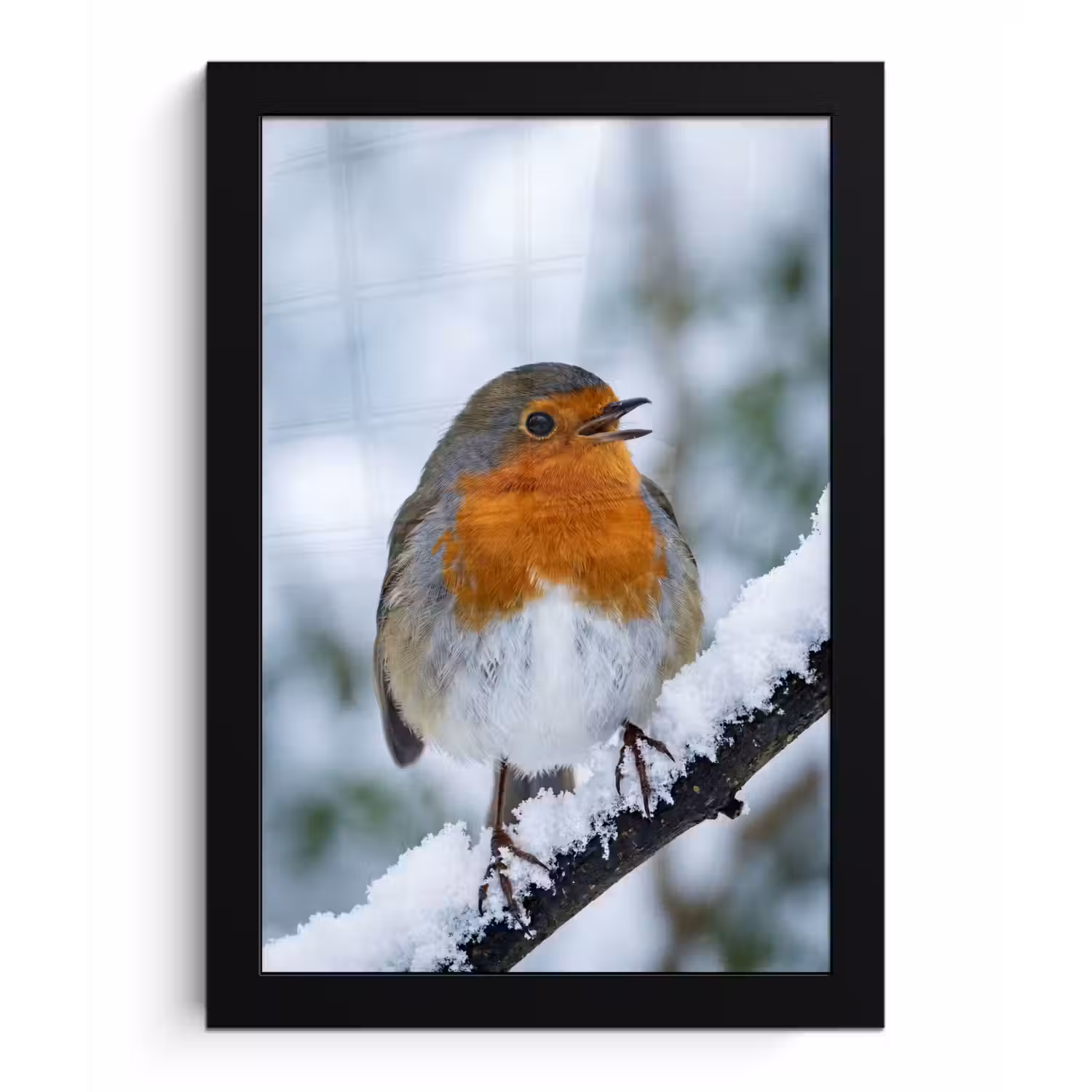 Roodborstje - Tak - Sneeuw - Winter - Levendig fotolijst zwart zonder passe partout klein -3d