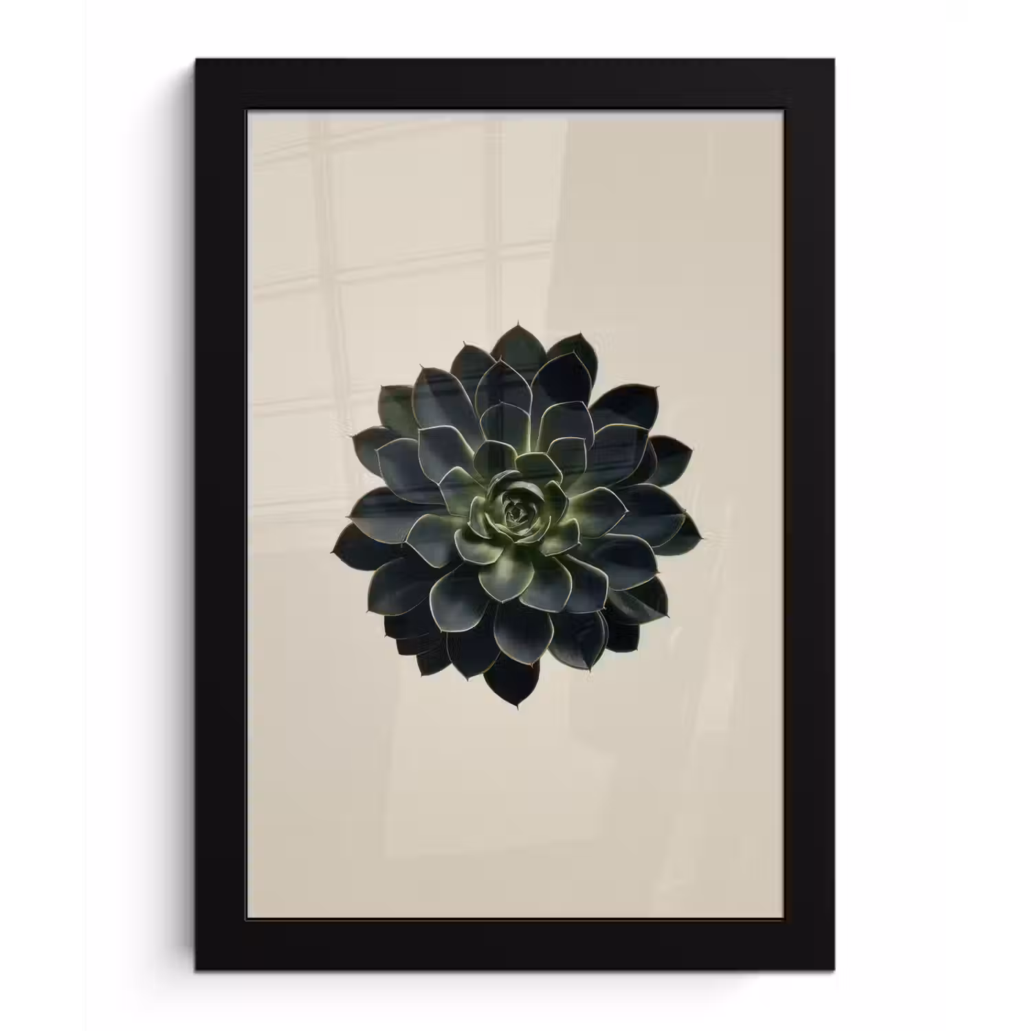 Rozet - Cirkelvormig - Donkergroen fotolijst zwart zonder passe partout klein -3d