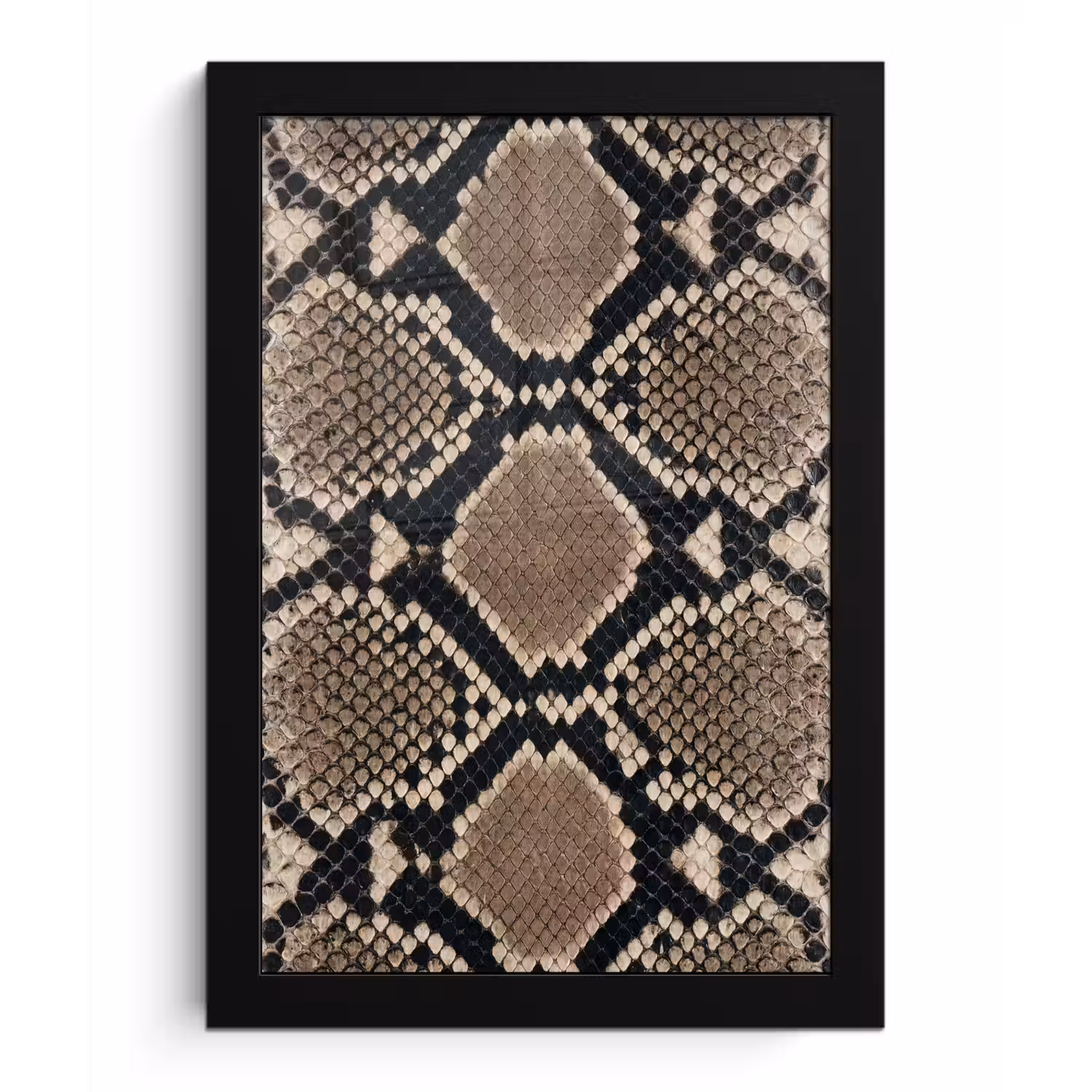 Slangenprint - Python - Bruin fotolijst zwart zonder passe partout klein -3d
