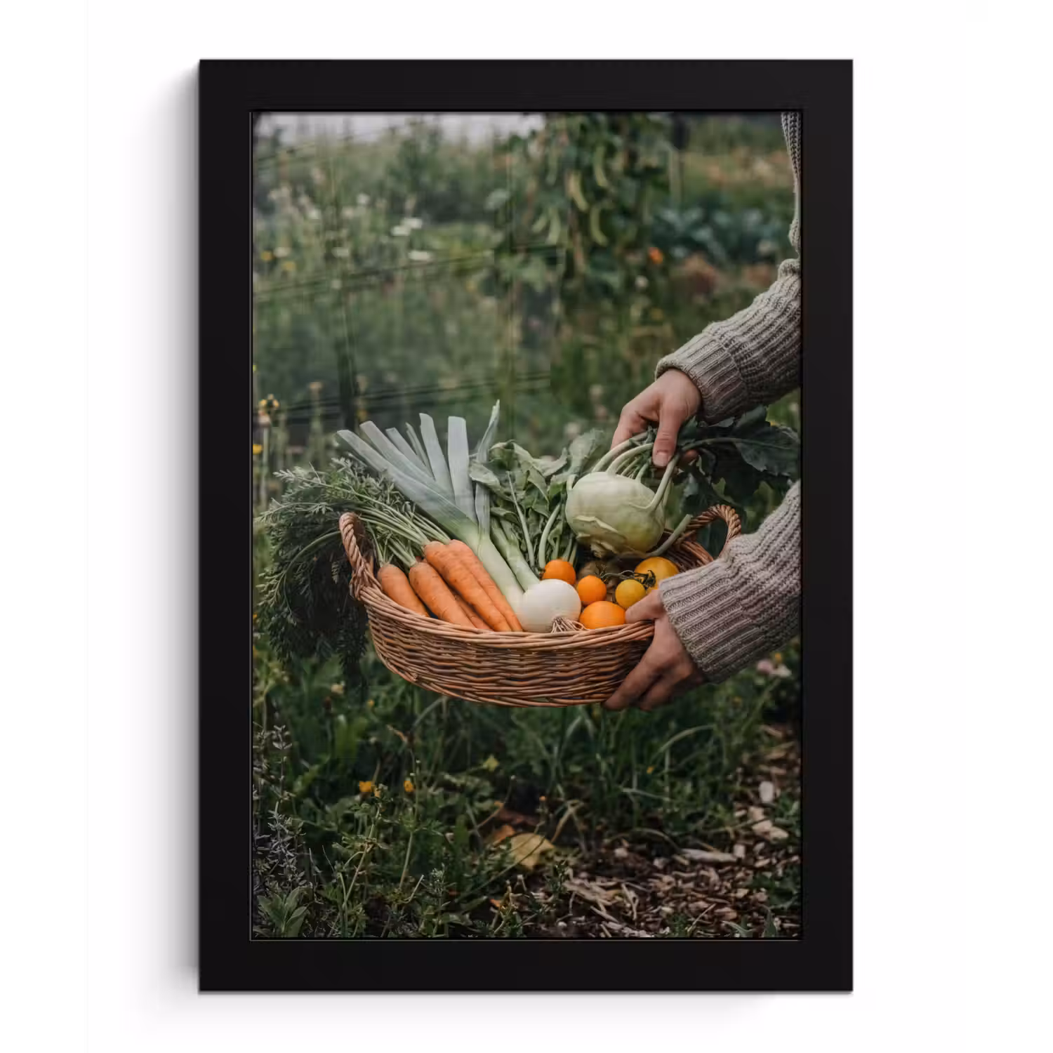Veld - Groenten - Biologisch - Oogst fotolijst zwart zonder passe partout klein -3d