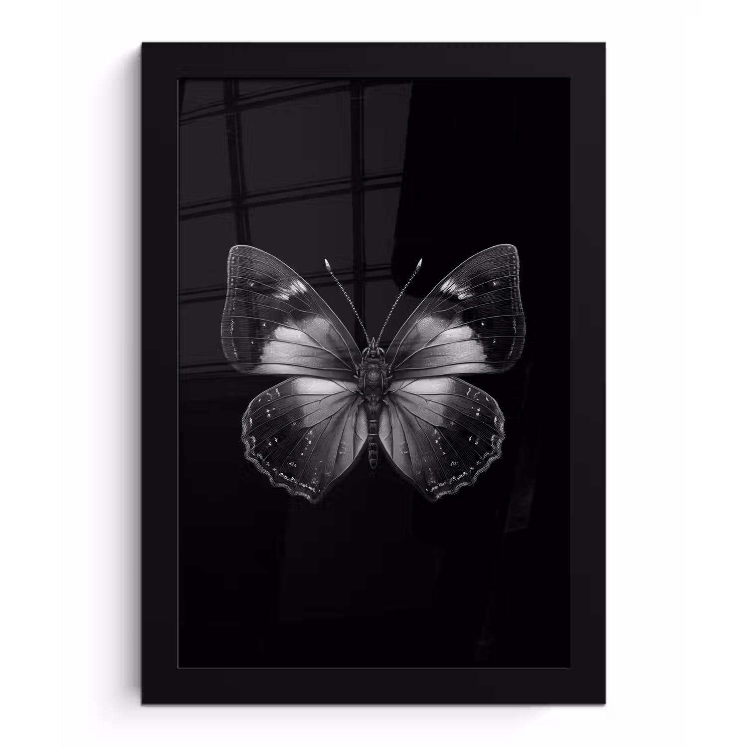 Vlinder - Grijs - Mysterieus fotolijst zwart zonder passe partout klein -3d