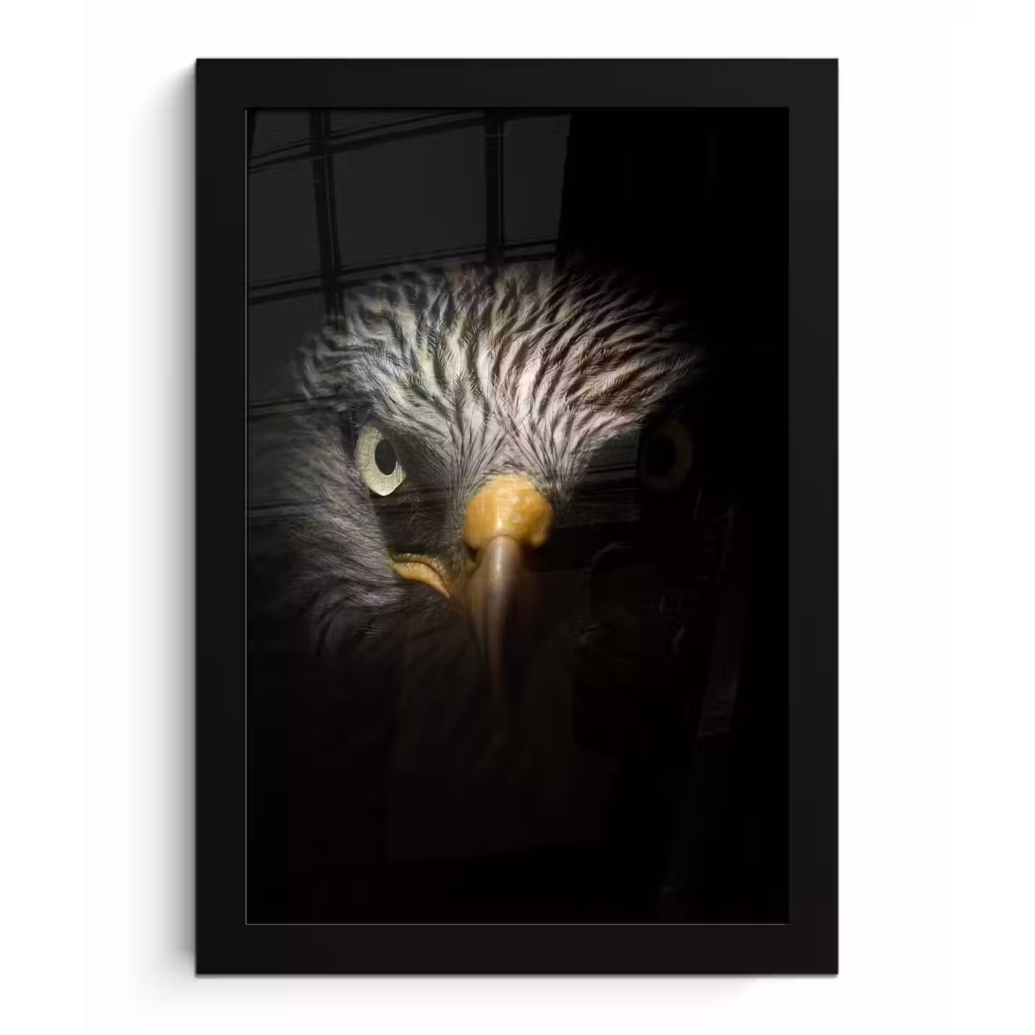 Vogel - Adelaar - Roofvogels - Oog - Snavel - Licht fotolijst zwart zonder passe partout klein -3d