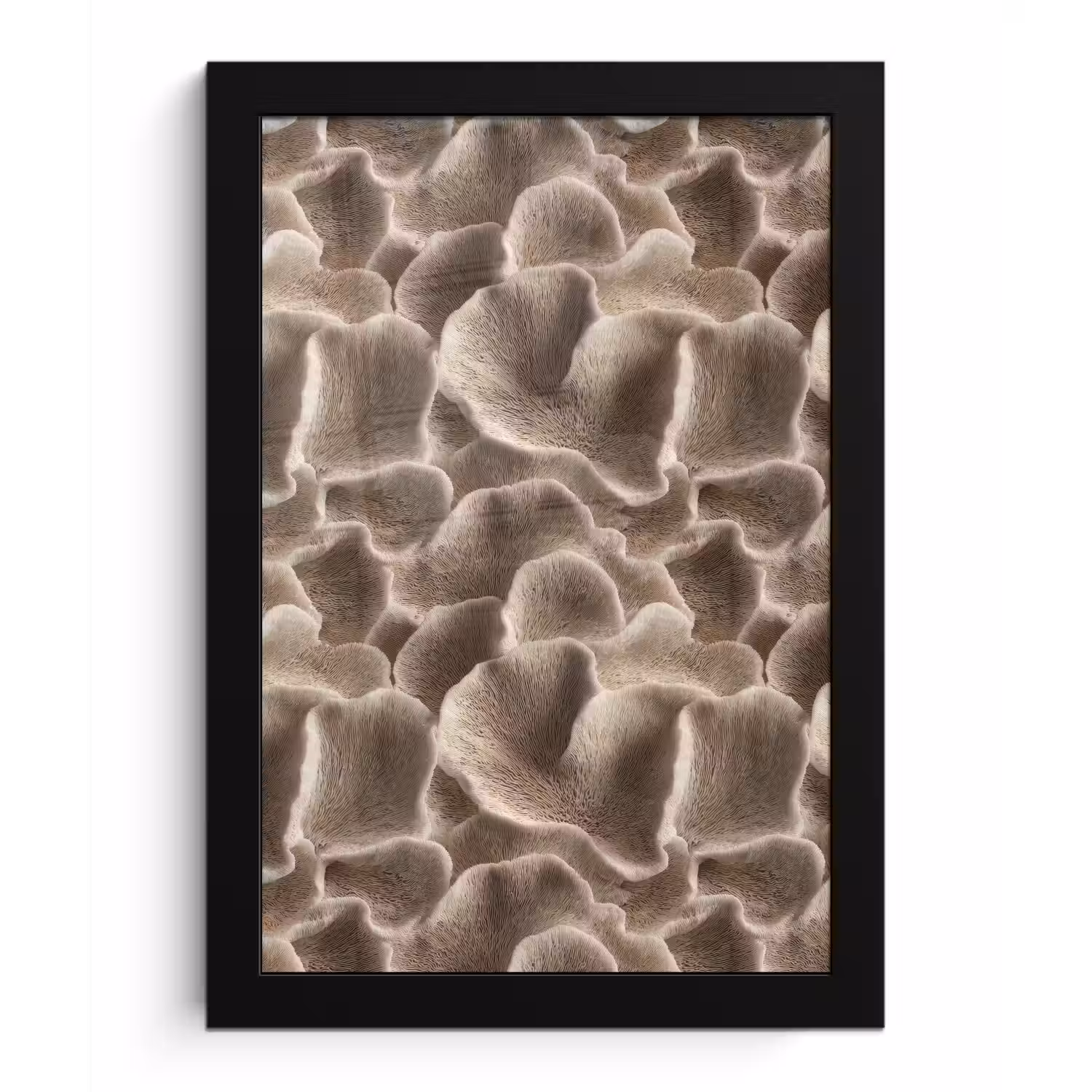 Waaiervorm - Beige - Vezel textuur fotolijst zwart zonder passe partout klein 224 -3d