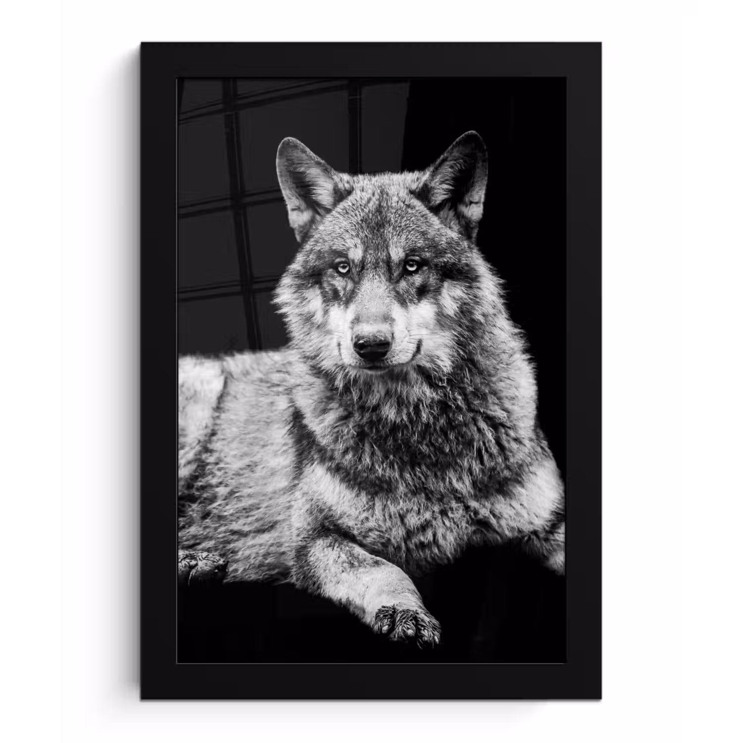 Wilde dieren - Wolf - Zwart - Wit fotolijst zwart zonder passe partout klein -3d
