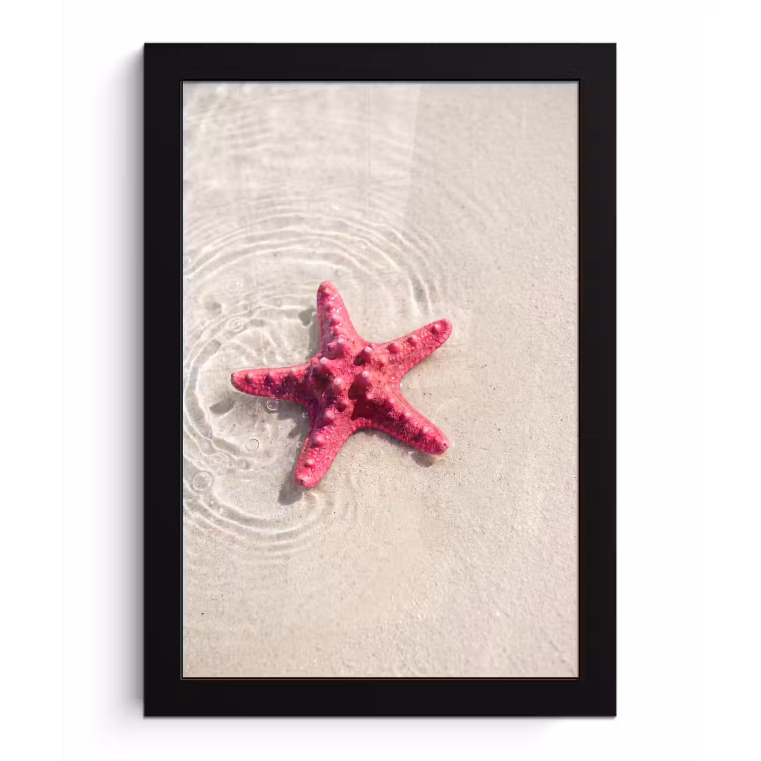 Zeeleven - Zeester - Strand - Roze - Water fotolijst zwart zonder passe partout klein -3d