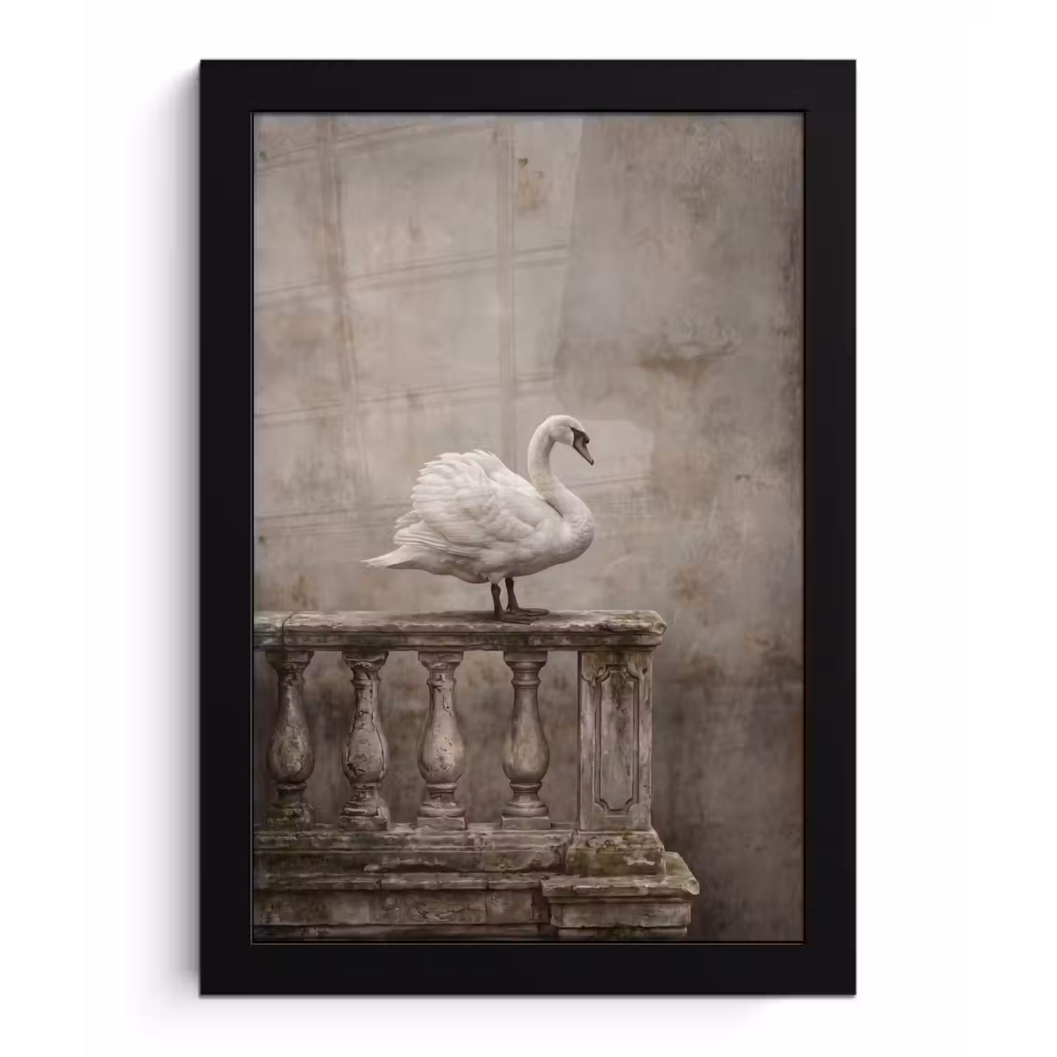 Zwaan - Elegant - Dieren - Wit fotolijst zwart zonder passe partout klein -3d