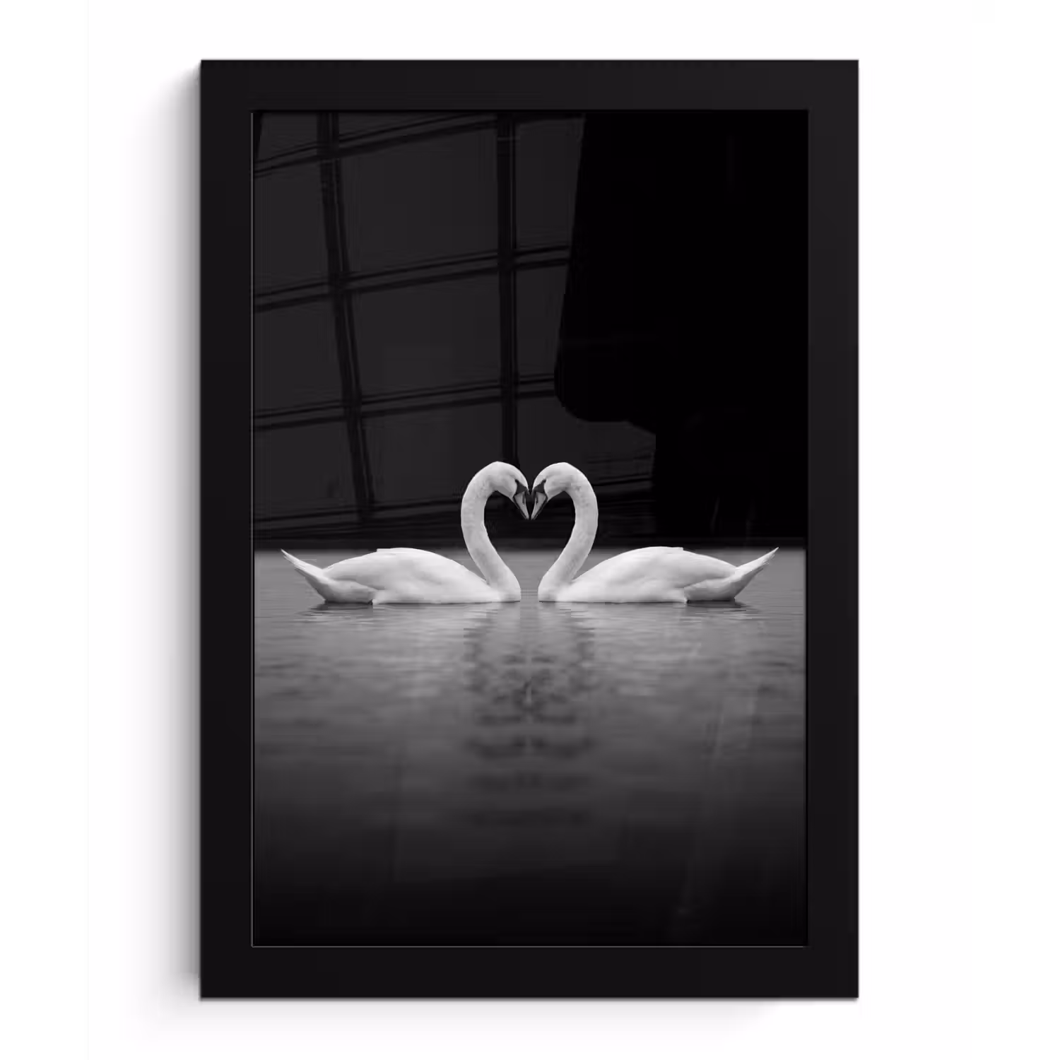 Zwanen - Hart - Zwart - Wit fotolijst zwart zonder passe partout klein -3d