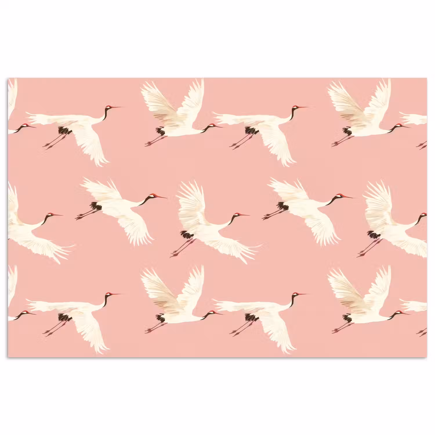 Modern - Kraanvogels - Roze poster papier klein 62 -3d
