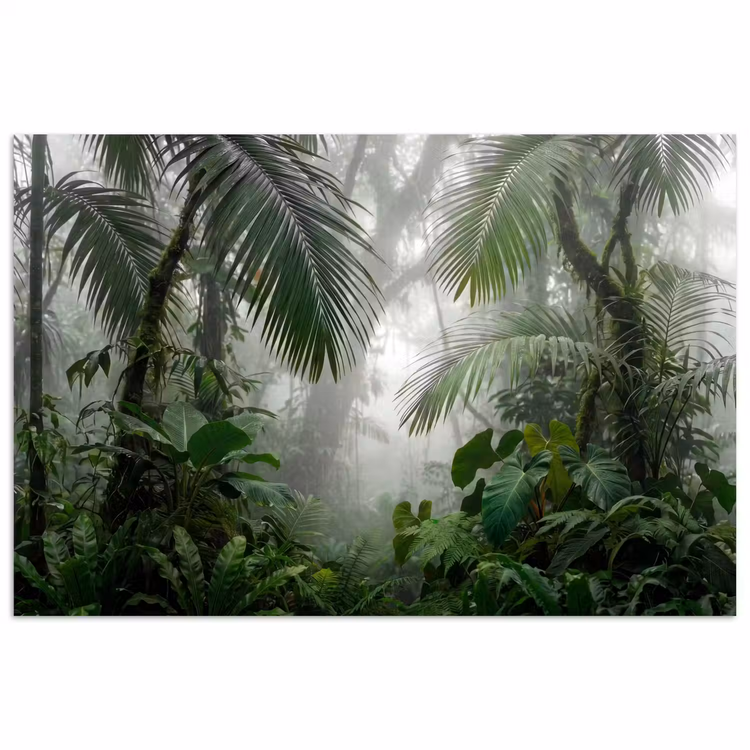 Natuur - Jungle - Mist - Tropisch - Groen poster papier klein -3d