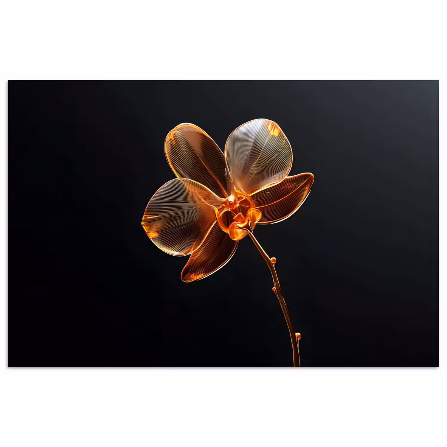 Orchidee - Doorzichtig - Bloem poster papier klein -3d