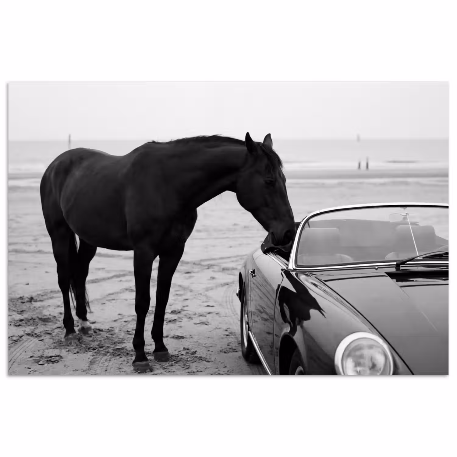 Paard - Auto - Zwart - Wit poster papier klein -3d