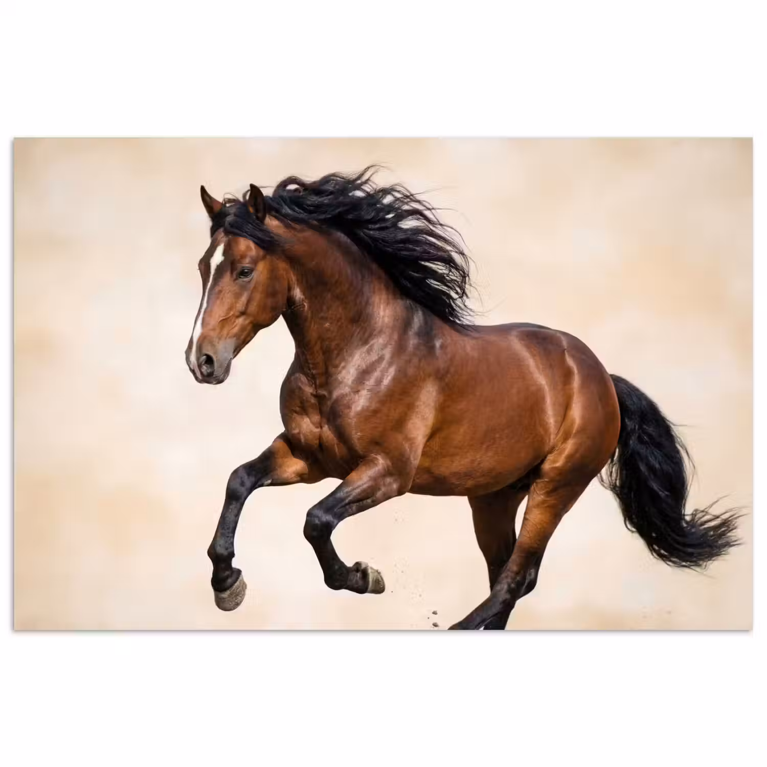 Paard - Galop - Energie poster papier klein -3d