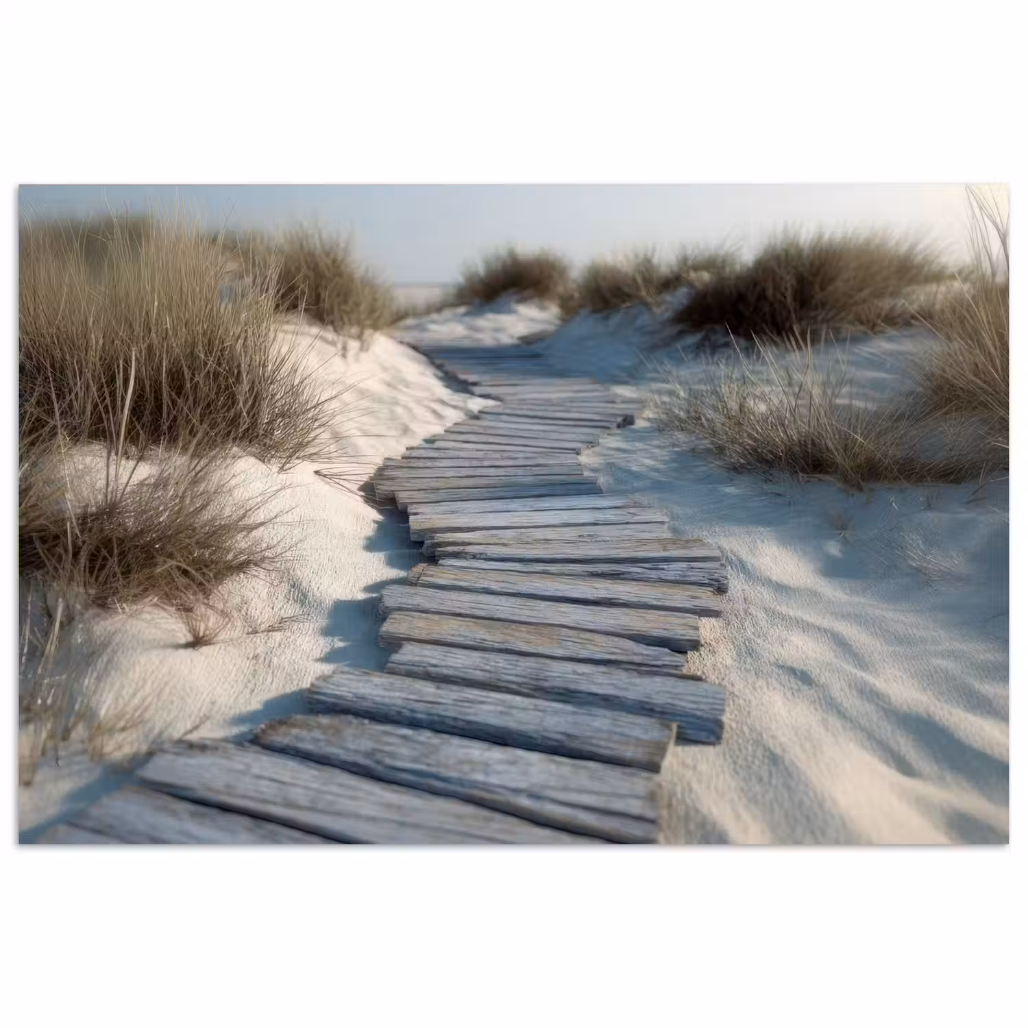 Pad - Planken - Duinen - Gras poster papier klein -3d