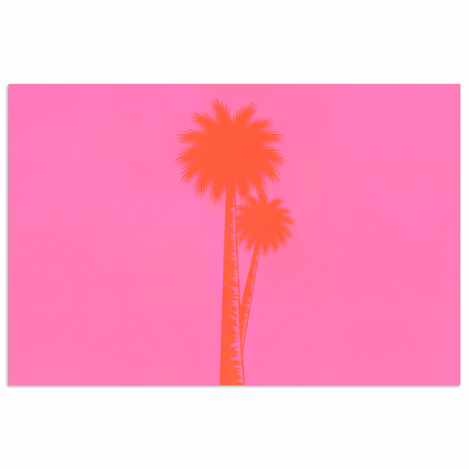 Palmbomen - Modern - Roze poster papier klein -3d