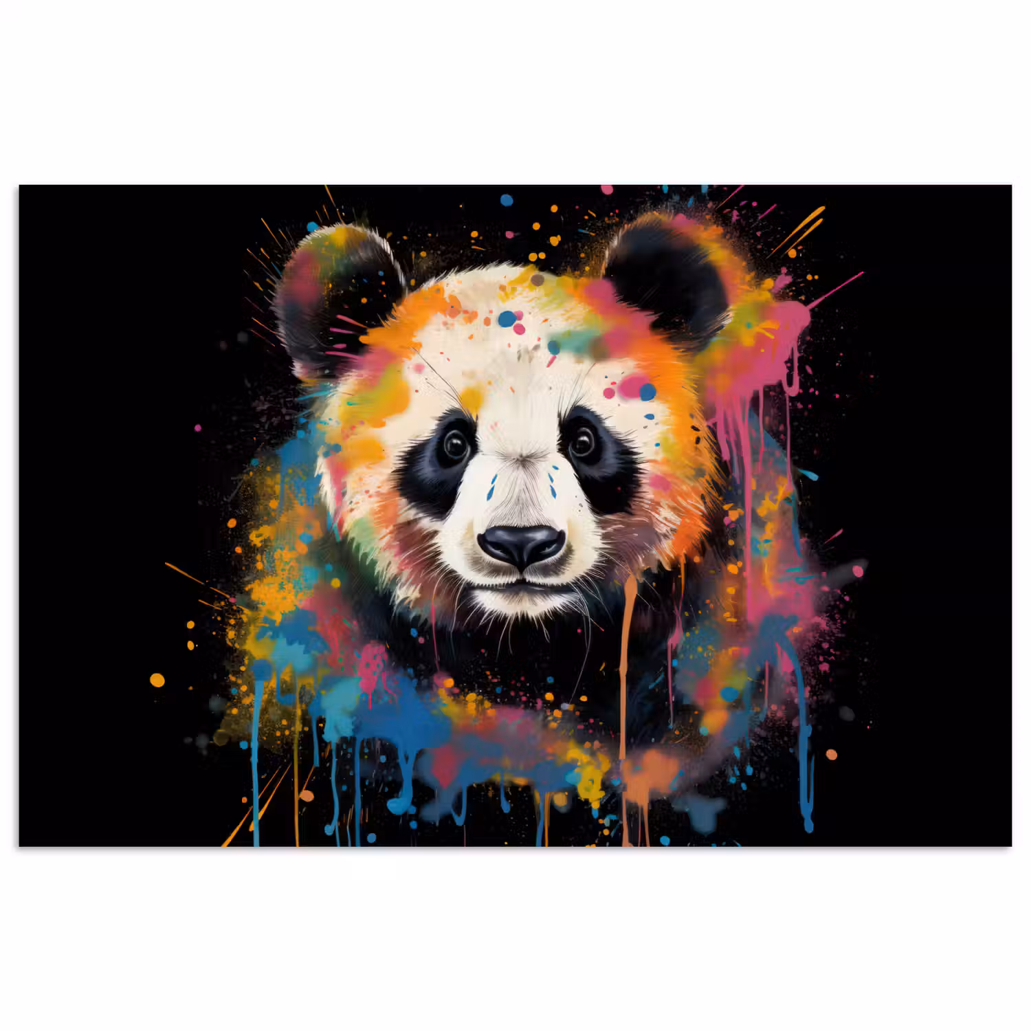 Panda - Graffiti - Dieren - Zwart - Kleuren poster papier klein -3d