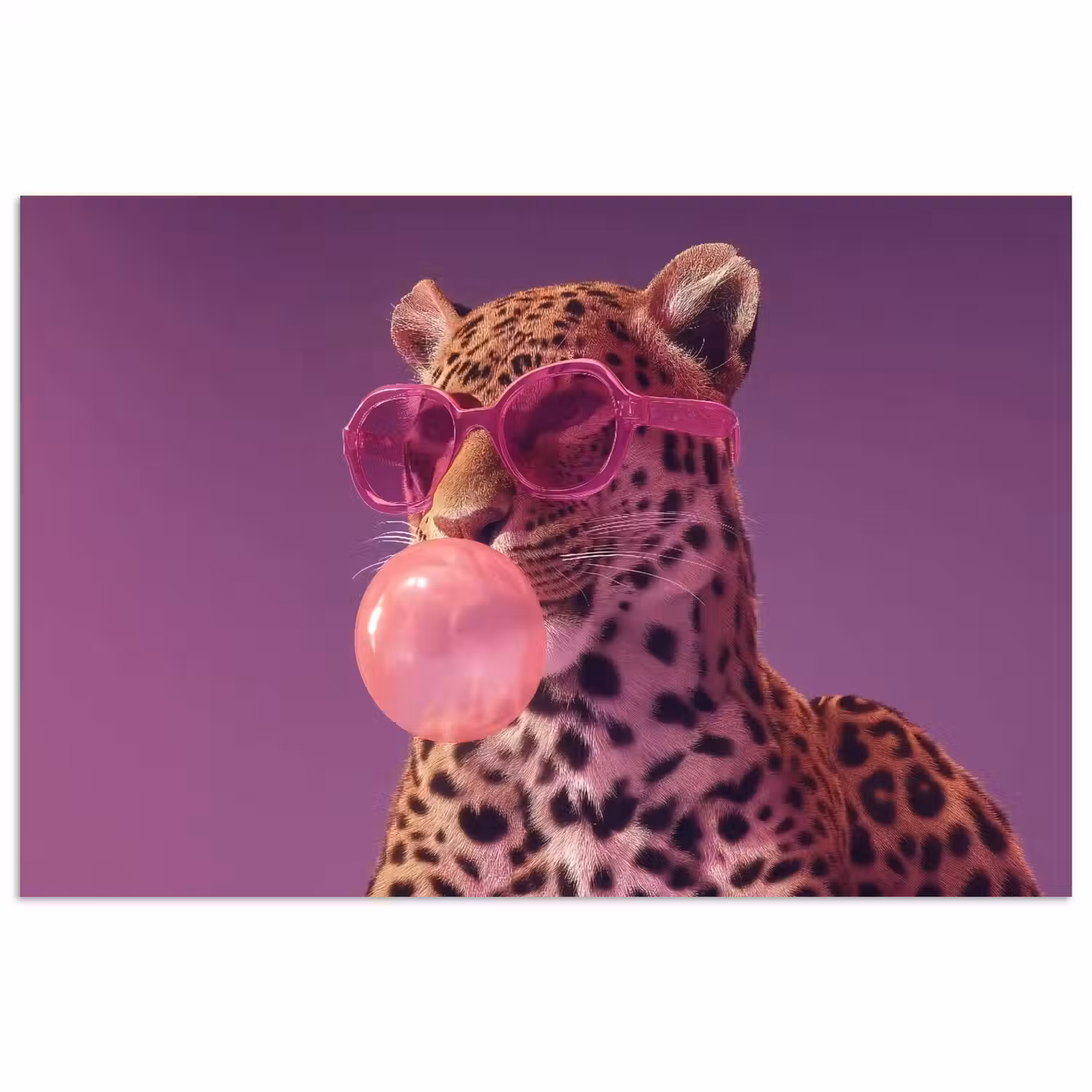 Panter - Zonnebril - Kauwgombel - Roze poster papier klein -3d